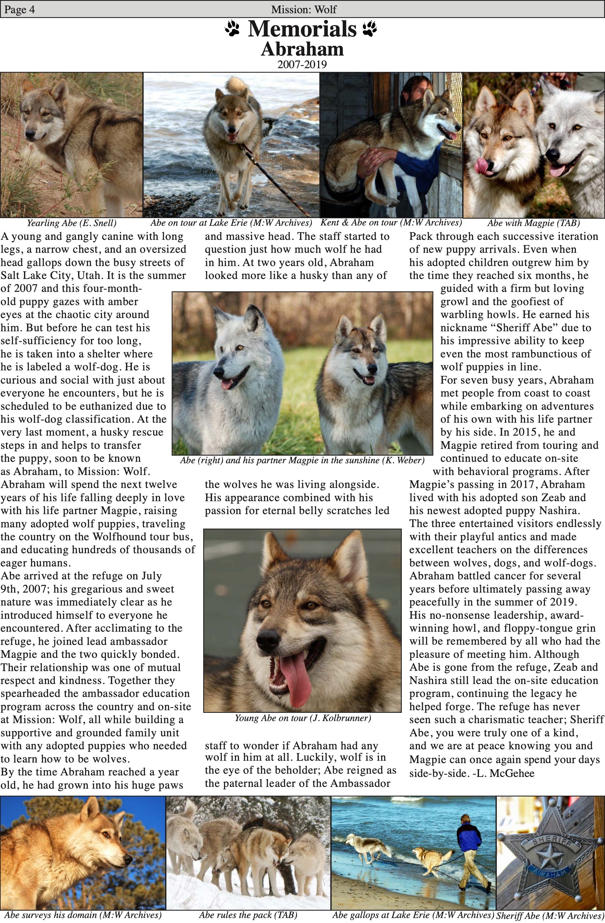 WolfVisions2020OnlineVersion 4.jpeg