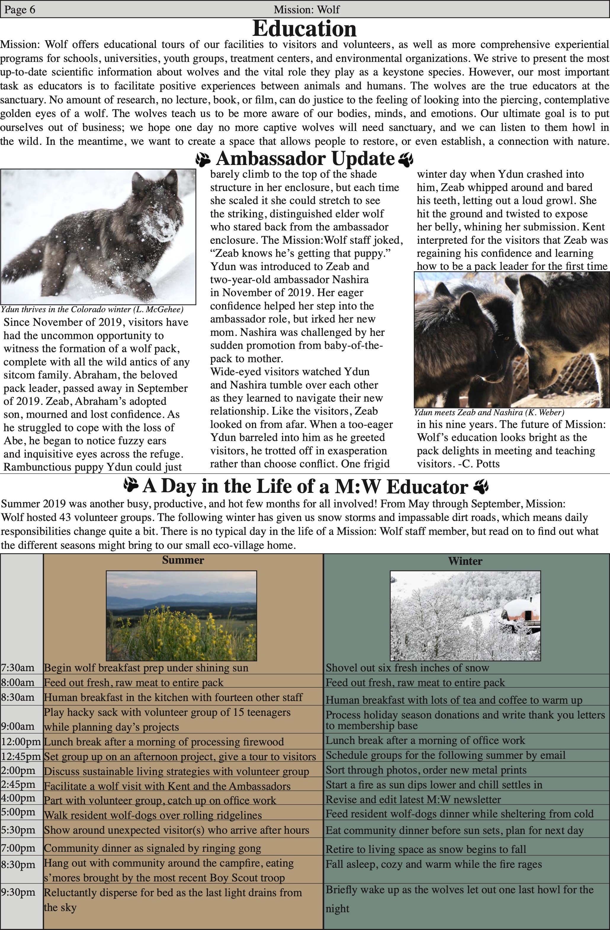 WolfVisions2020OnlineVersion 6.jpeg