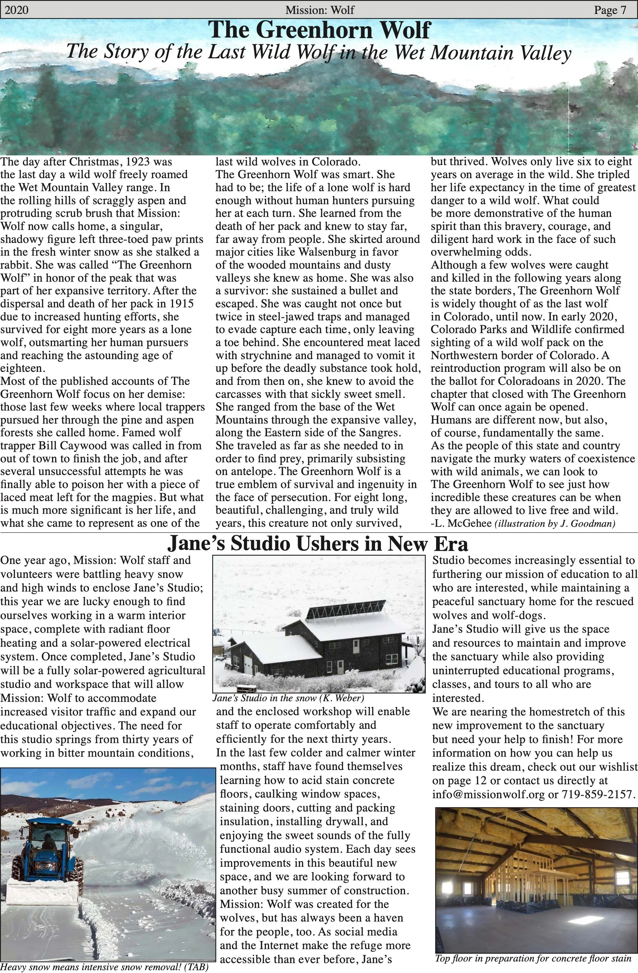 WolfVisions2020OnlineVersion 7.jpeg