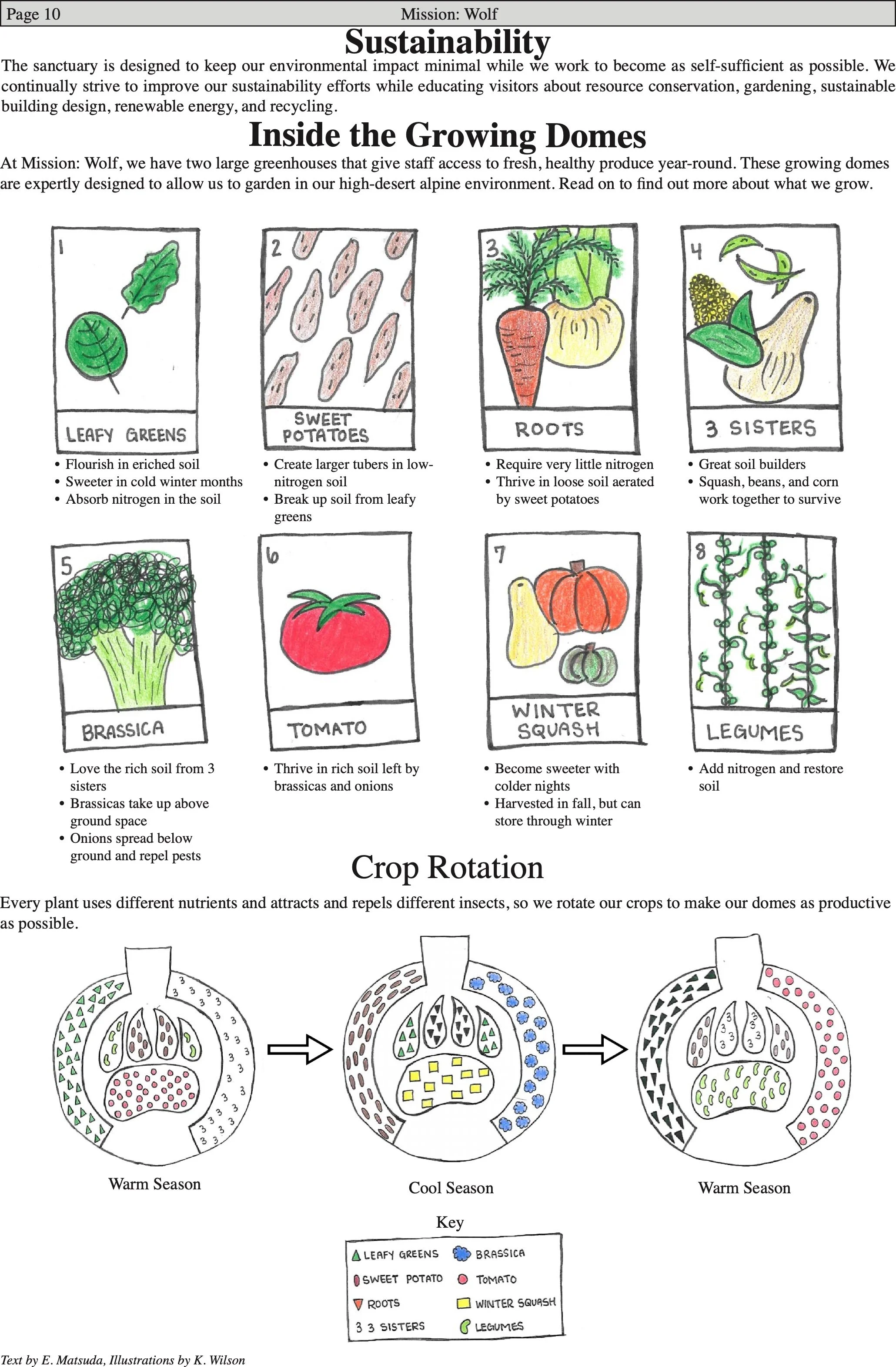 WolfVisions2020OnlineVersion 9.jpeg