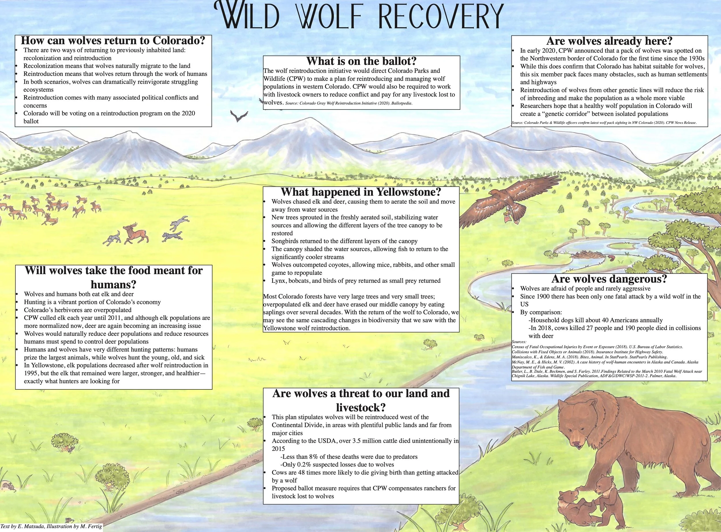 WolfVisions2020OnlineVersion 8.jpeg