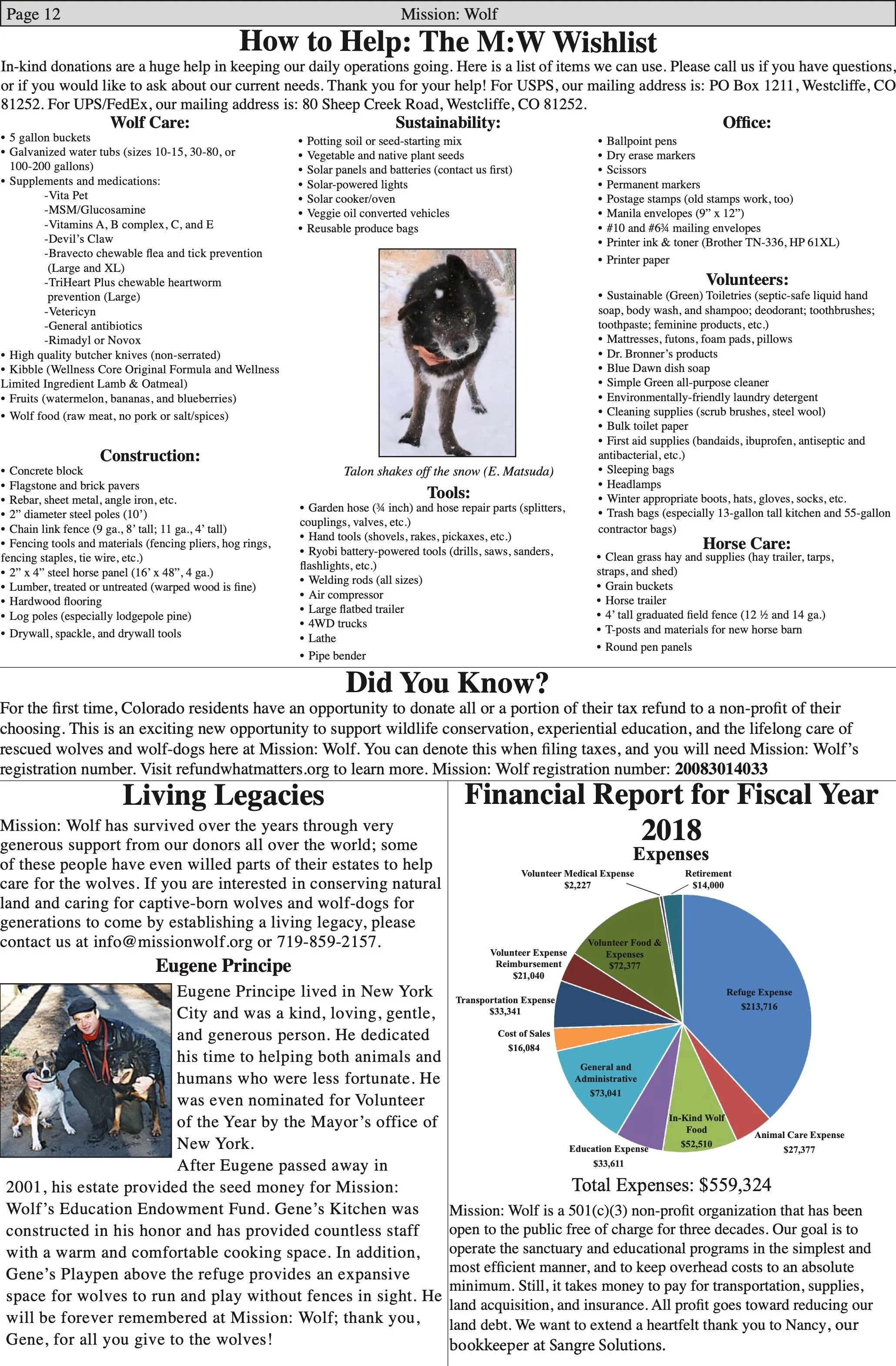 WolfVisions2020OnlineVersion 11.jpeg