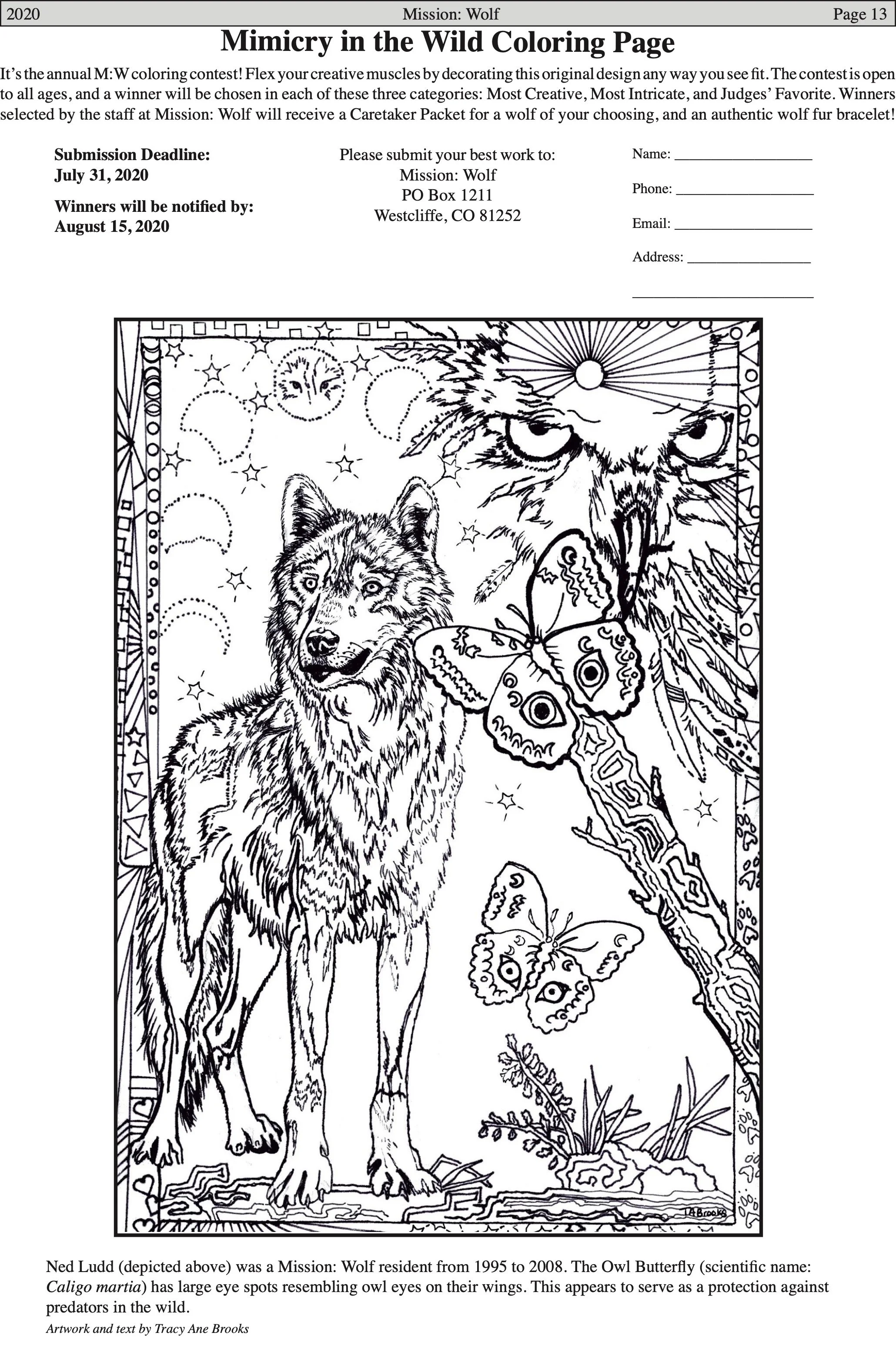 WolfVisions2020OnlineVersion 12.jpeg