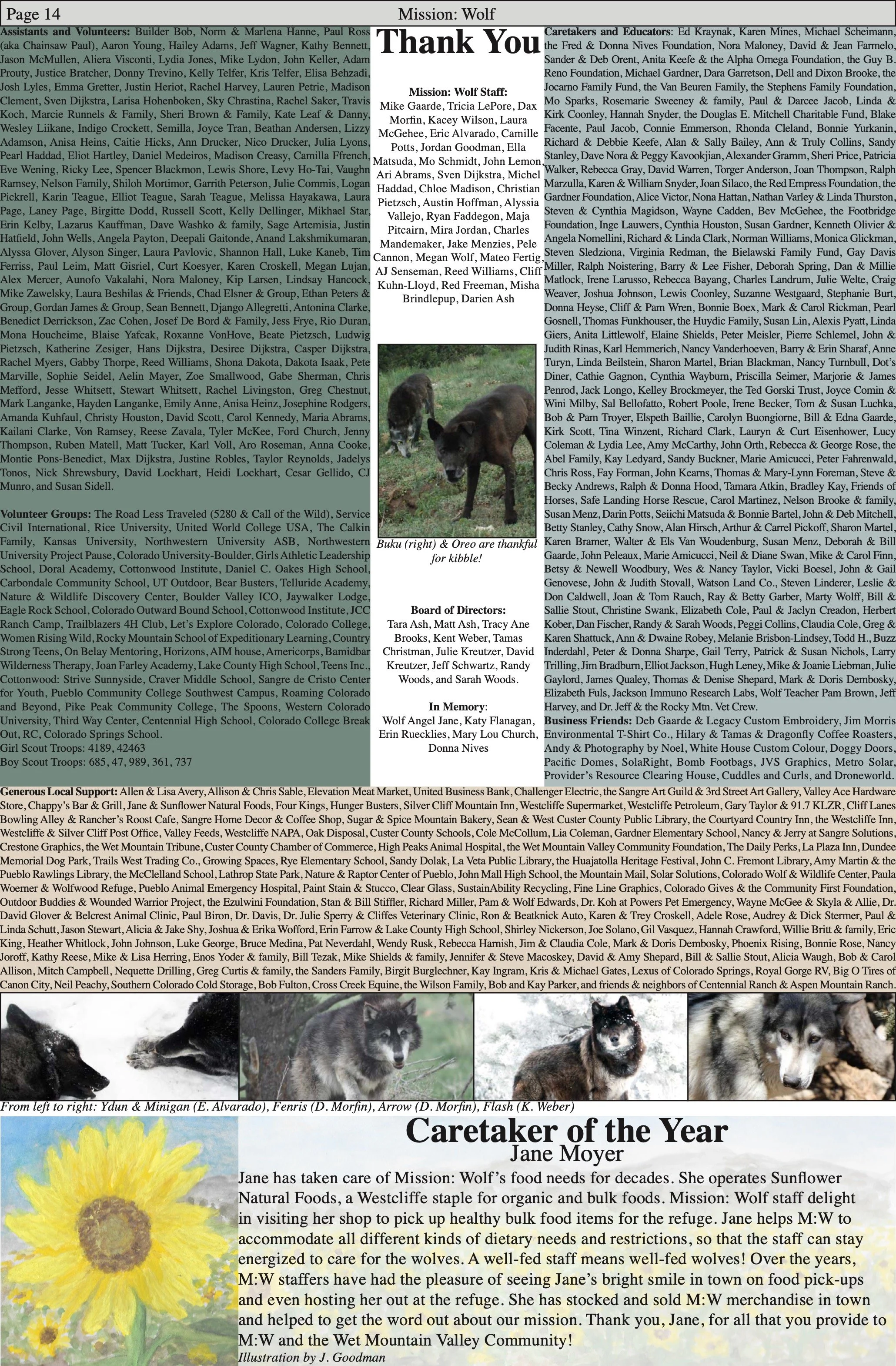 WolfVisions2020OnlineVersion 13.jpeg