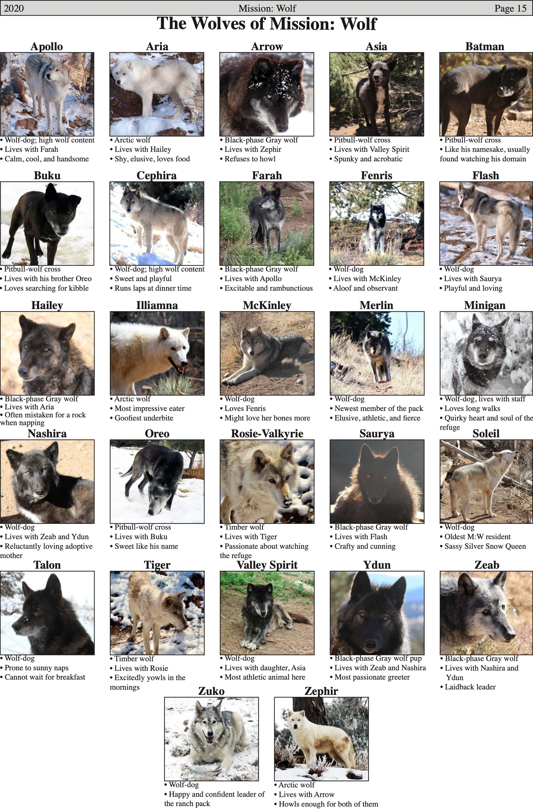 WolfVisions2020OnlineVersion 14.jpeg