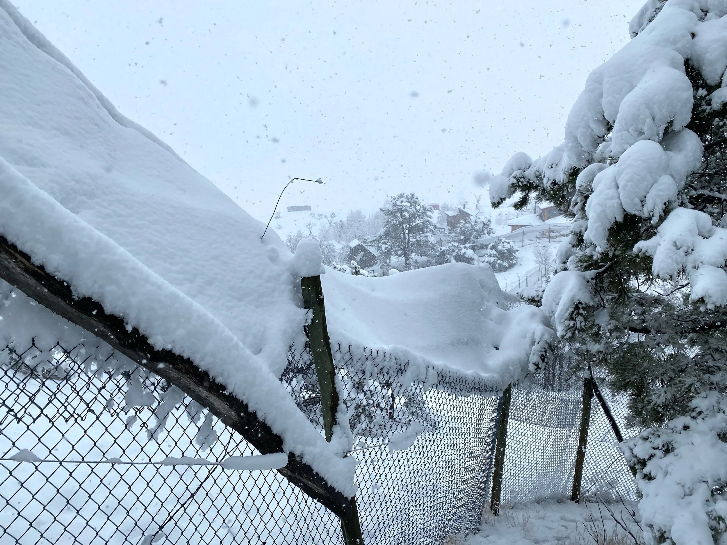 Mayday! Spring Snow Day