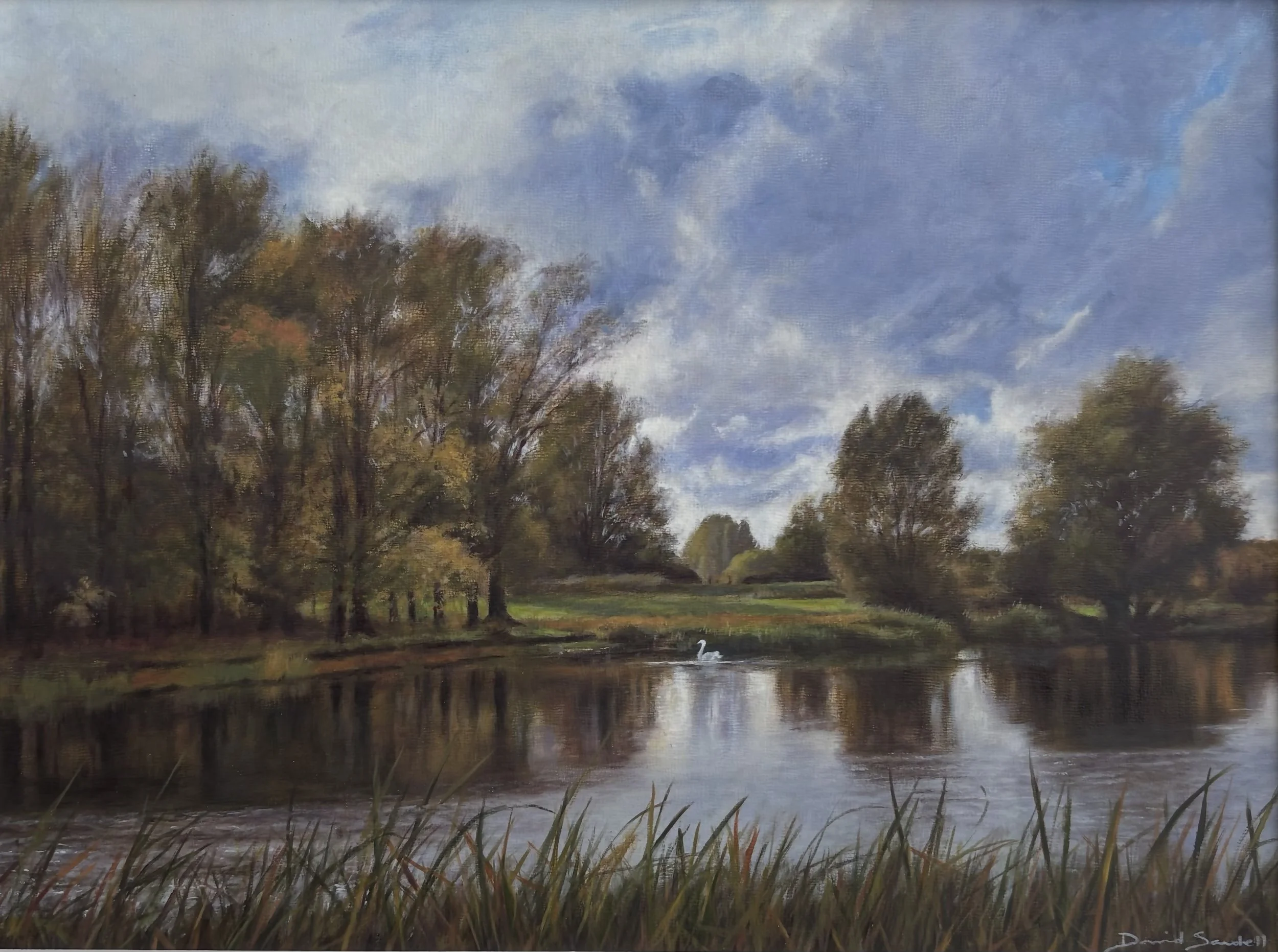 Lone Swan - Thorpe Lake, oil on panel, 30 x 40cm