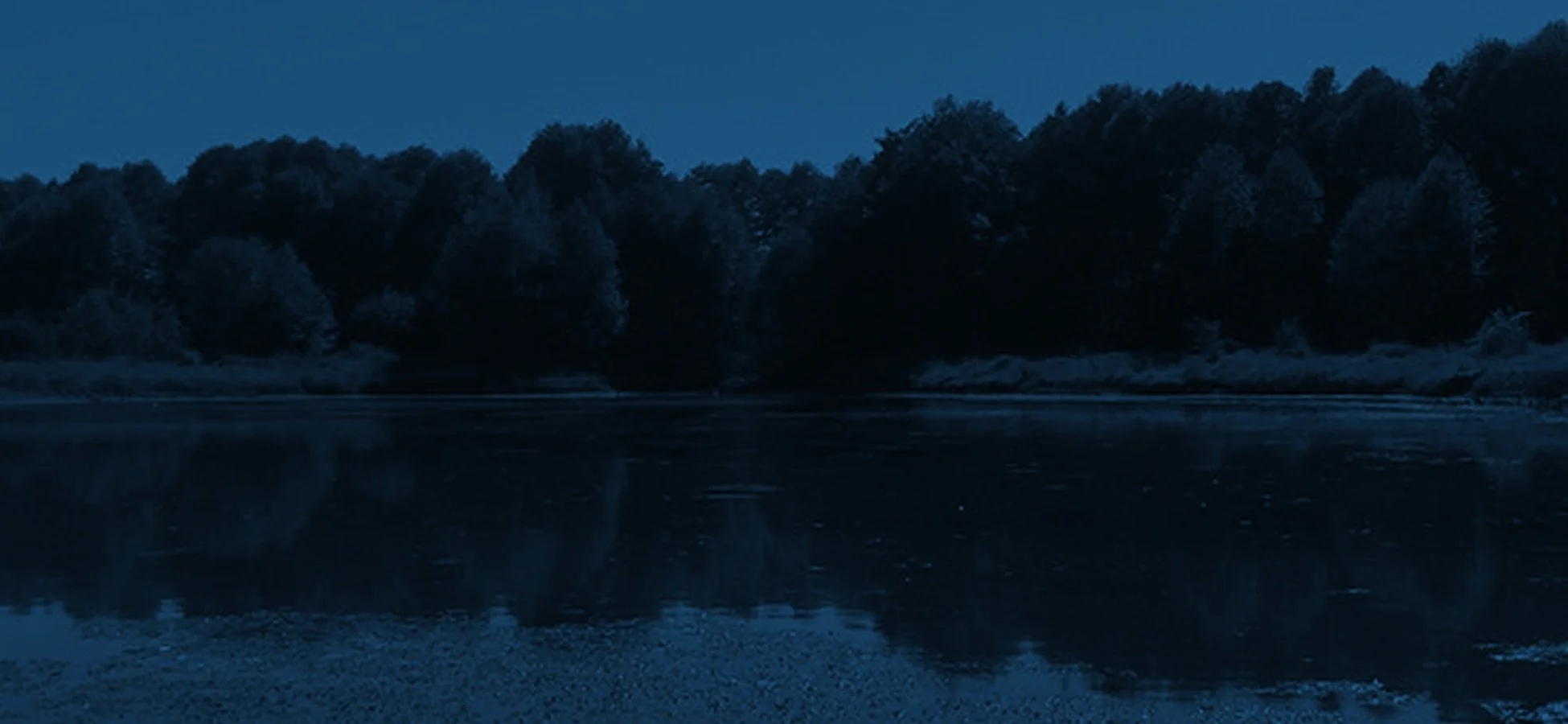 Fleetwood Dikes and Surrey Lake