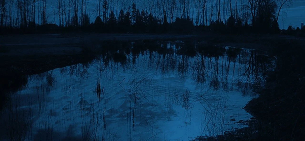 Hamilton Transit Centre