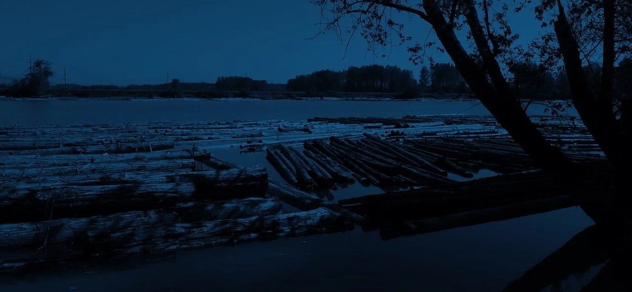 Surrey Bend Regional Park Habitat Rehabilitation