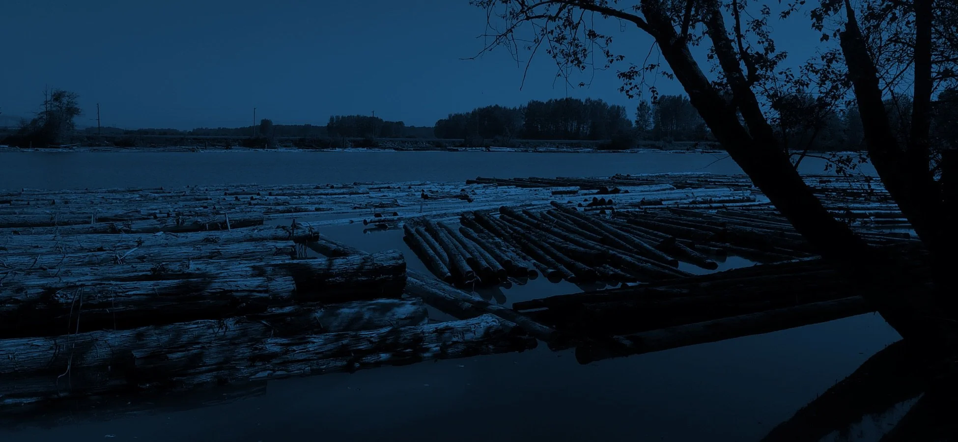 Surrey Bend Regional Park Habitat Rehabilitation