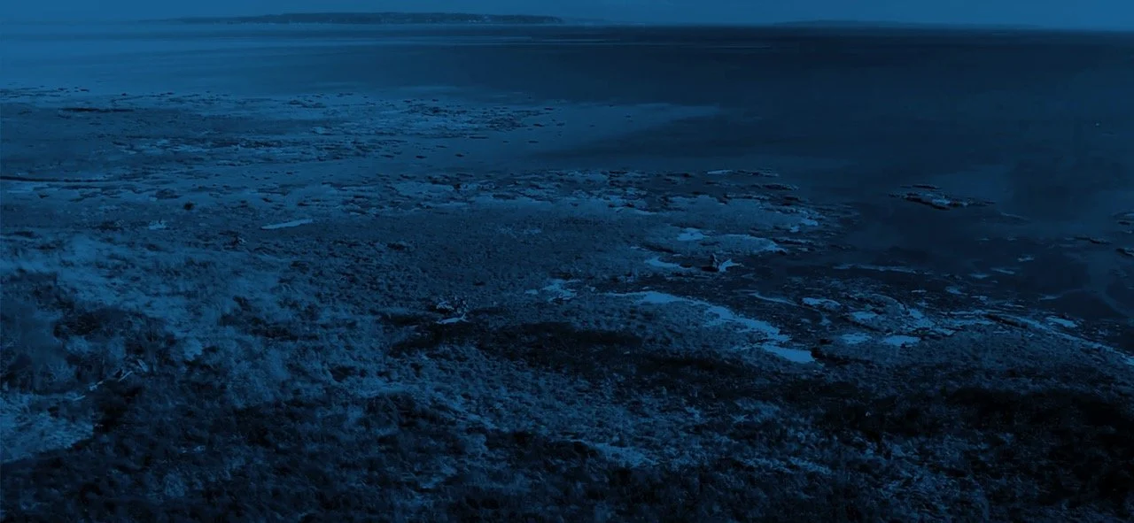 Port Metro Vancouver Habitat Banking Projects