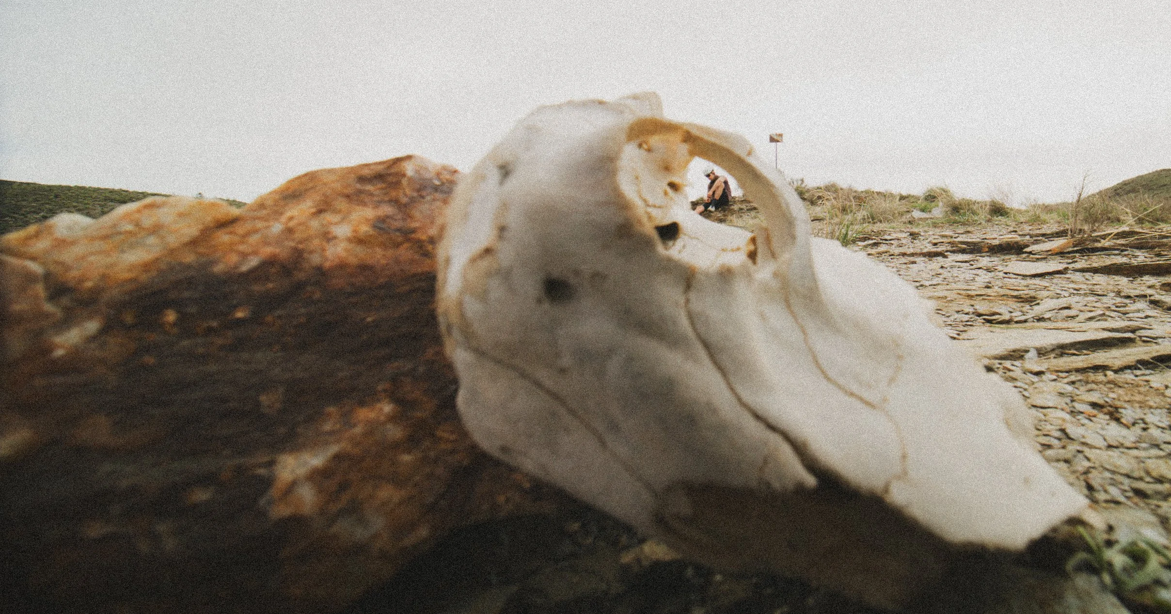 Screenshot 2026-02-27 alle 21.36.33.JPG