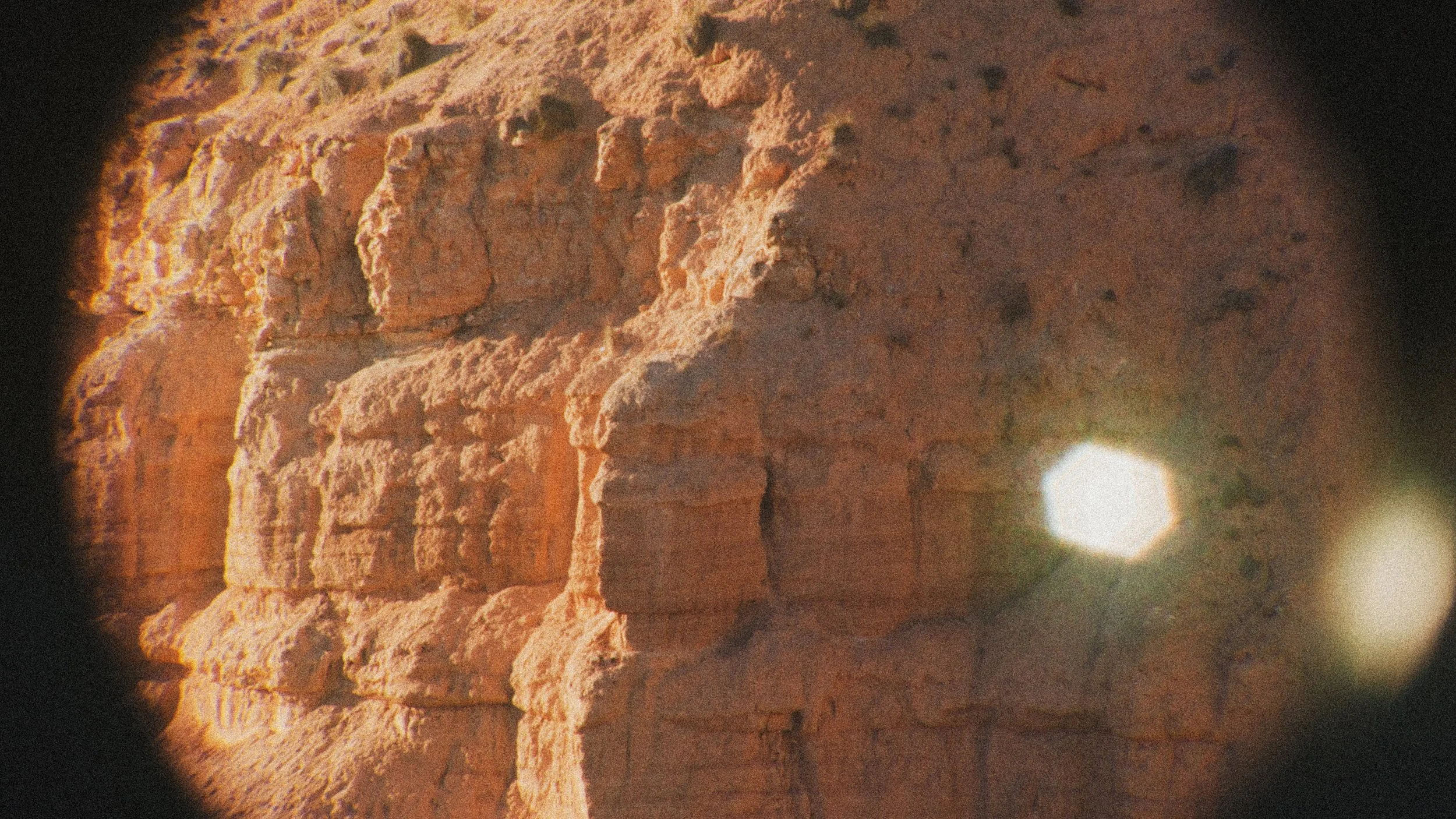 PEdALED | Odyssey SS26