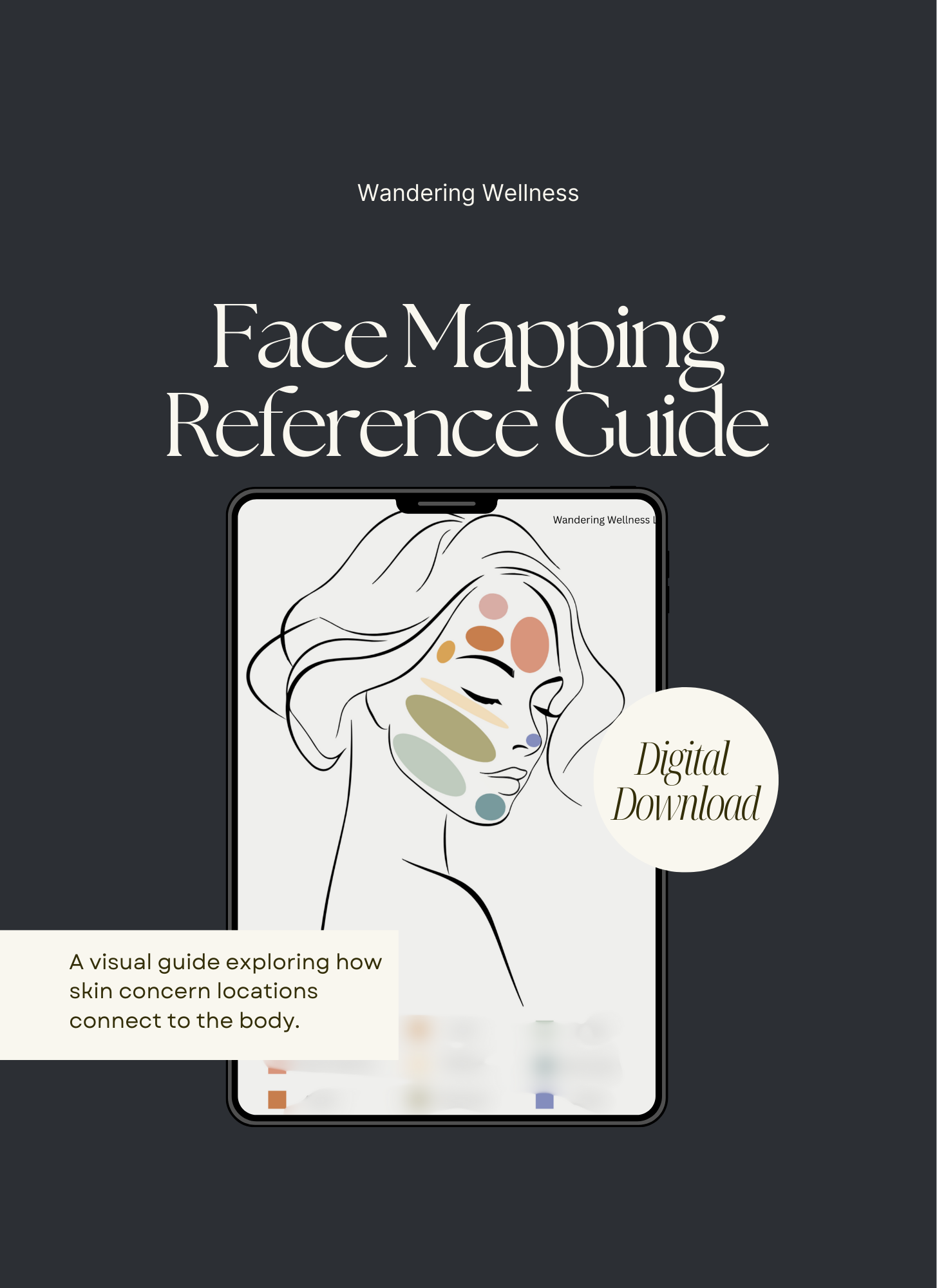 Face Mapping Reference Guide (digital download)
