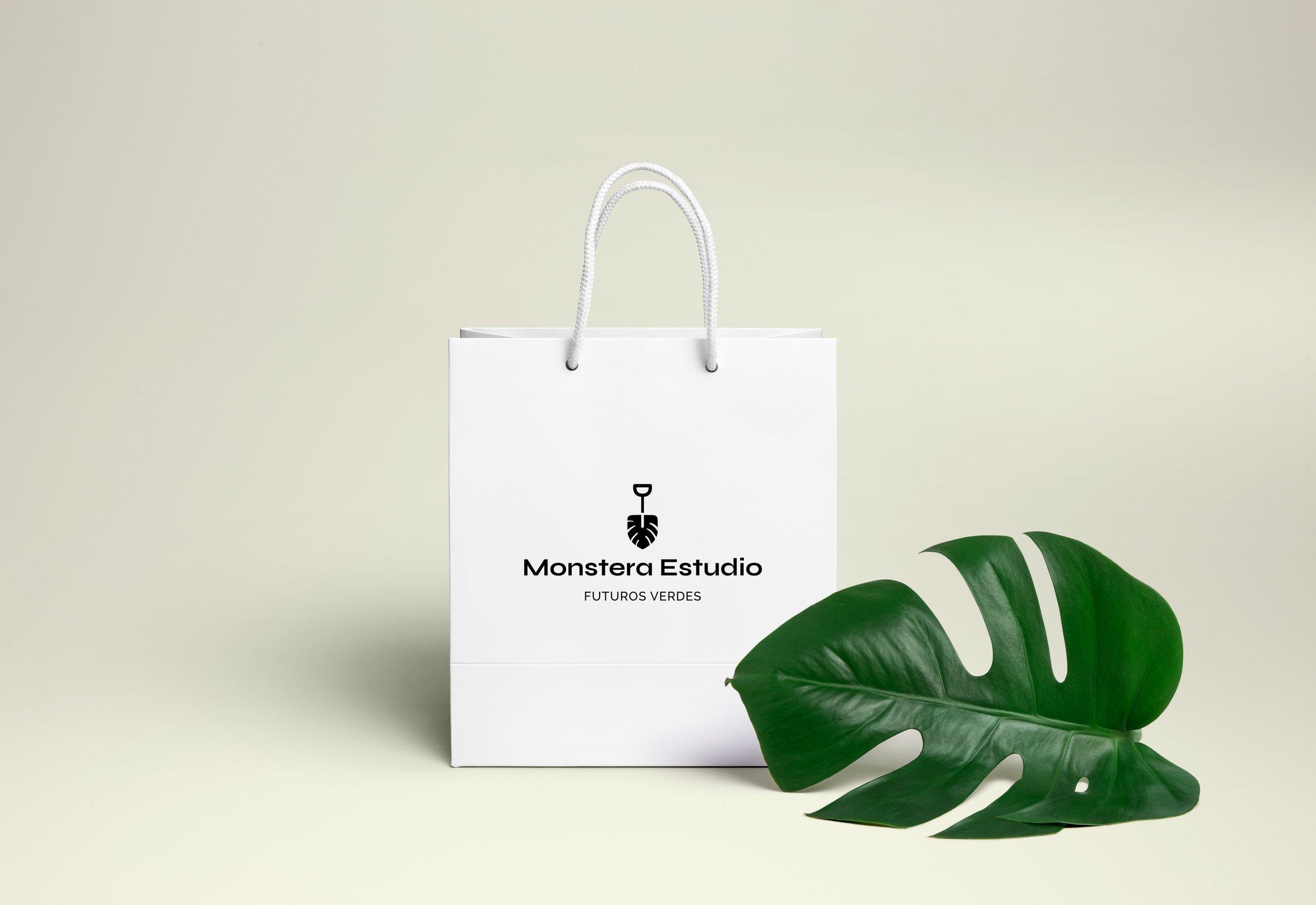 Shopping-Bag-PSD-MockUp-2.jpg