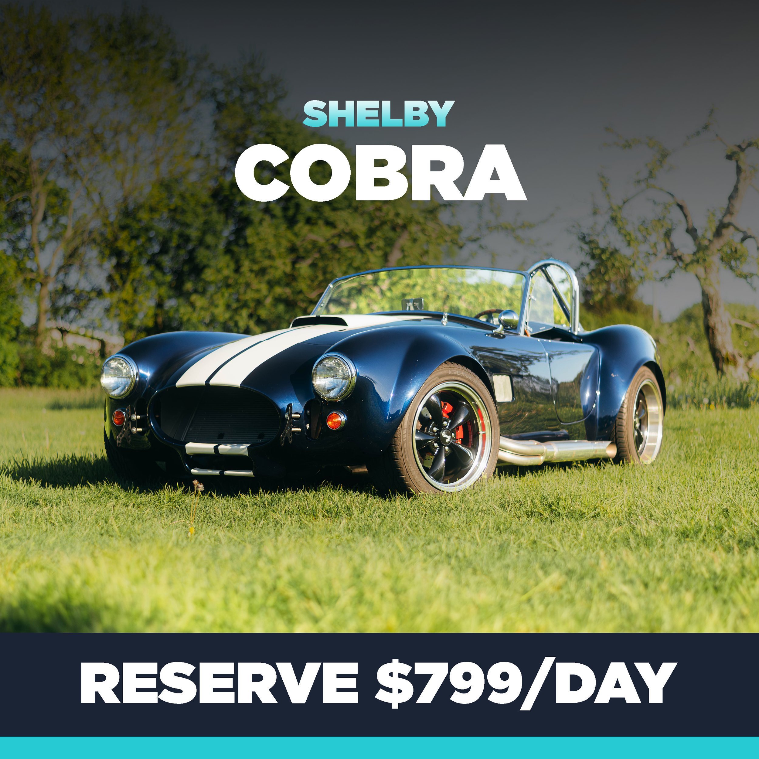 SHELBY COBRA RENTAL CAR AND SPORTS CAR RENTAL IN BOSTON MASSACHUSETTS