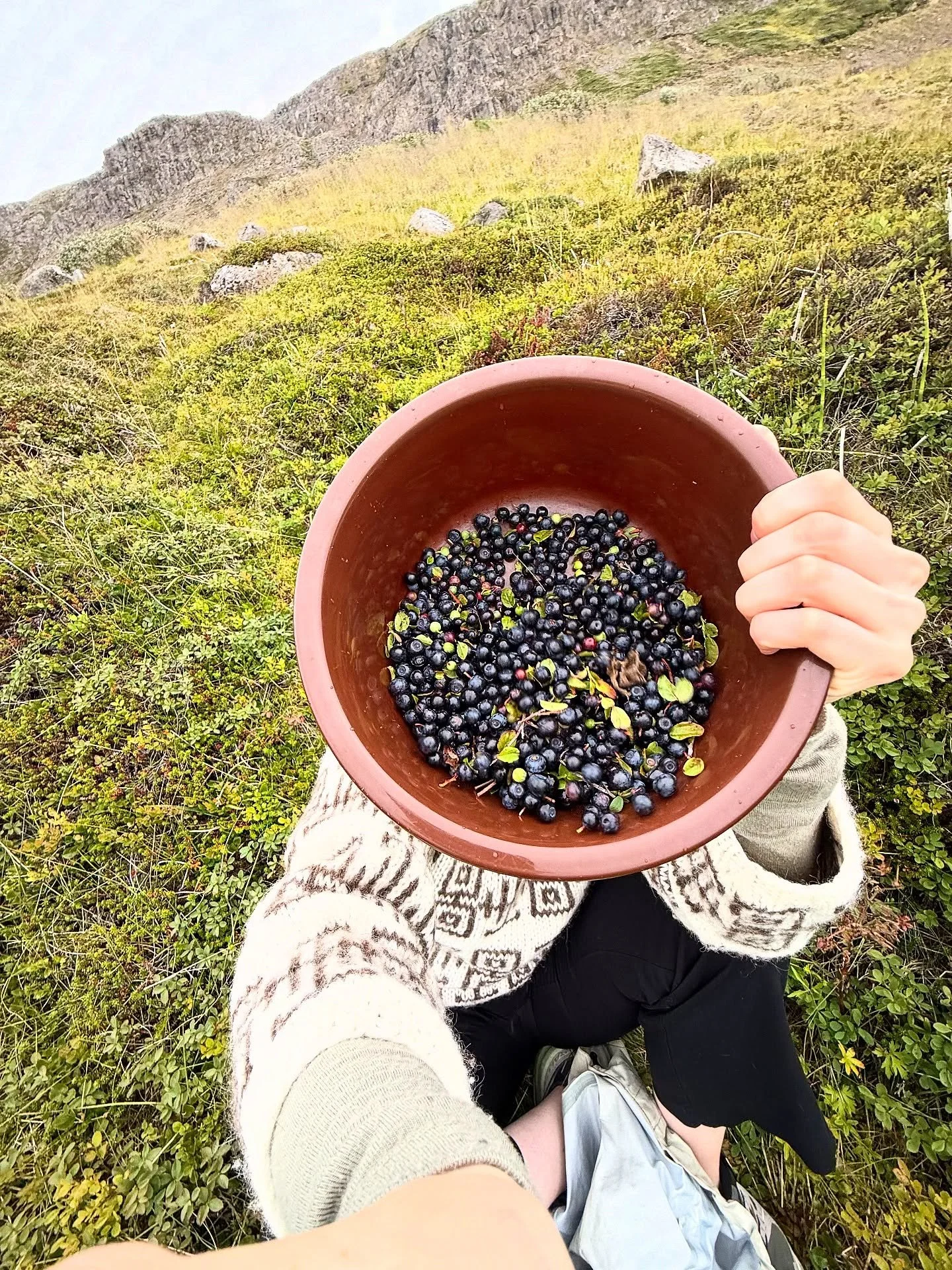 Forage girl summer 🍄🫐🍄&zwj;🟫🪻