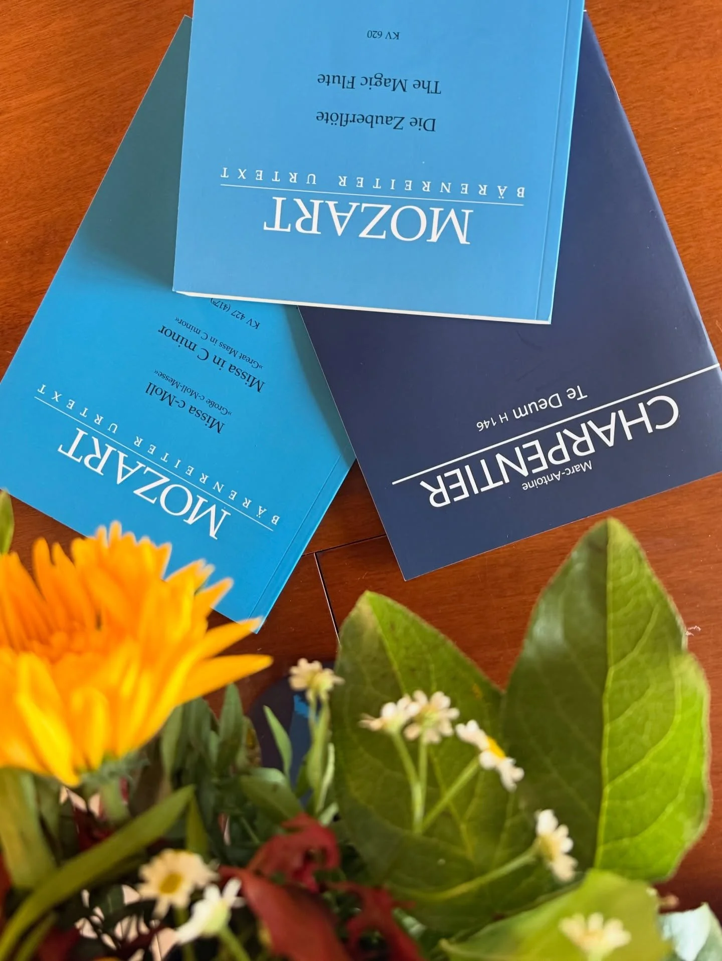 November memories, probably the longest November of my life it felt like - rehearsing die Zauberfl&ouml;te @theaterbasel - singing my first full c-Moll Messe with Cantus Basel and concert with Oratorienchor Bern - nice time with friends and family bo