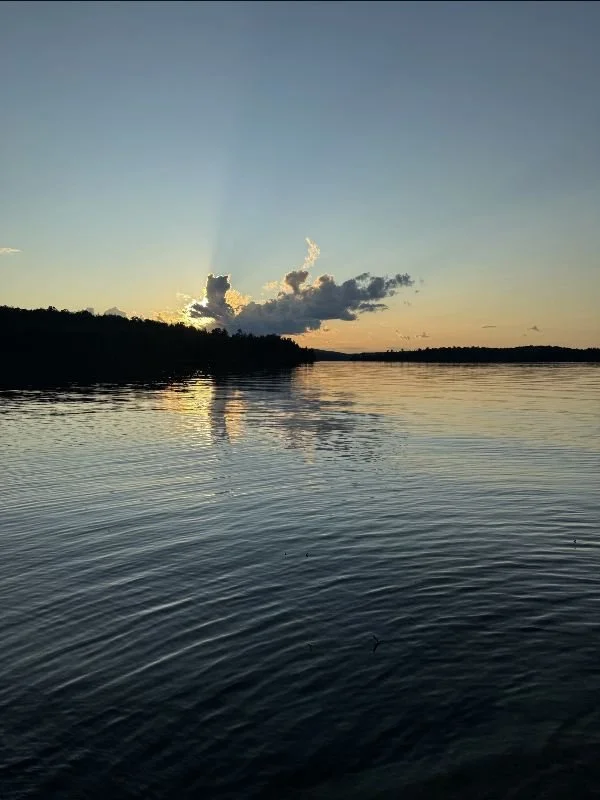 Late August Check-In - from the Newsletter