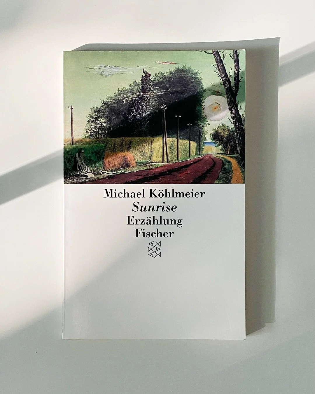 .
📖 BUCHTIPP | Es ist fr&uuml;hmorgens bei Sonnenaufgang, als sich in Los Angeles am Hollywood-Boulevard eine folgenreiche Verwechselung ereignet. Der Vagabund Leo &uuml;berquert die Fahrbahn, um sich auf der anderen Stra&szlig;enseite Fr&uuml;hst&u