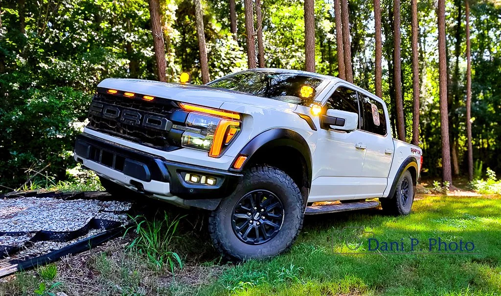 Raptor.jpg