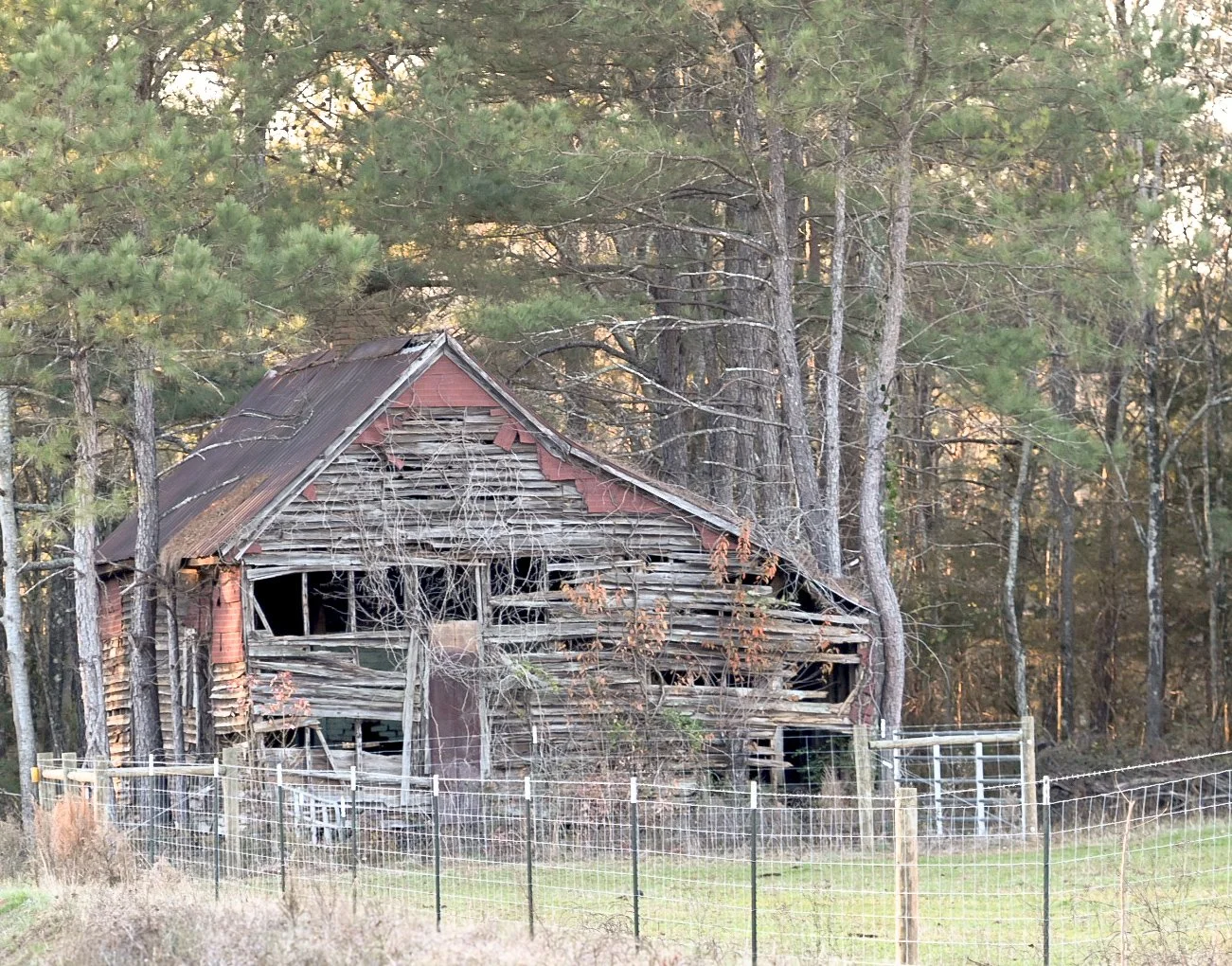 DPP_3573.jpg