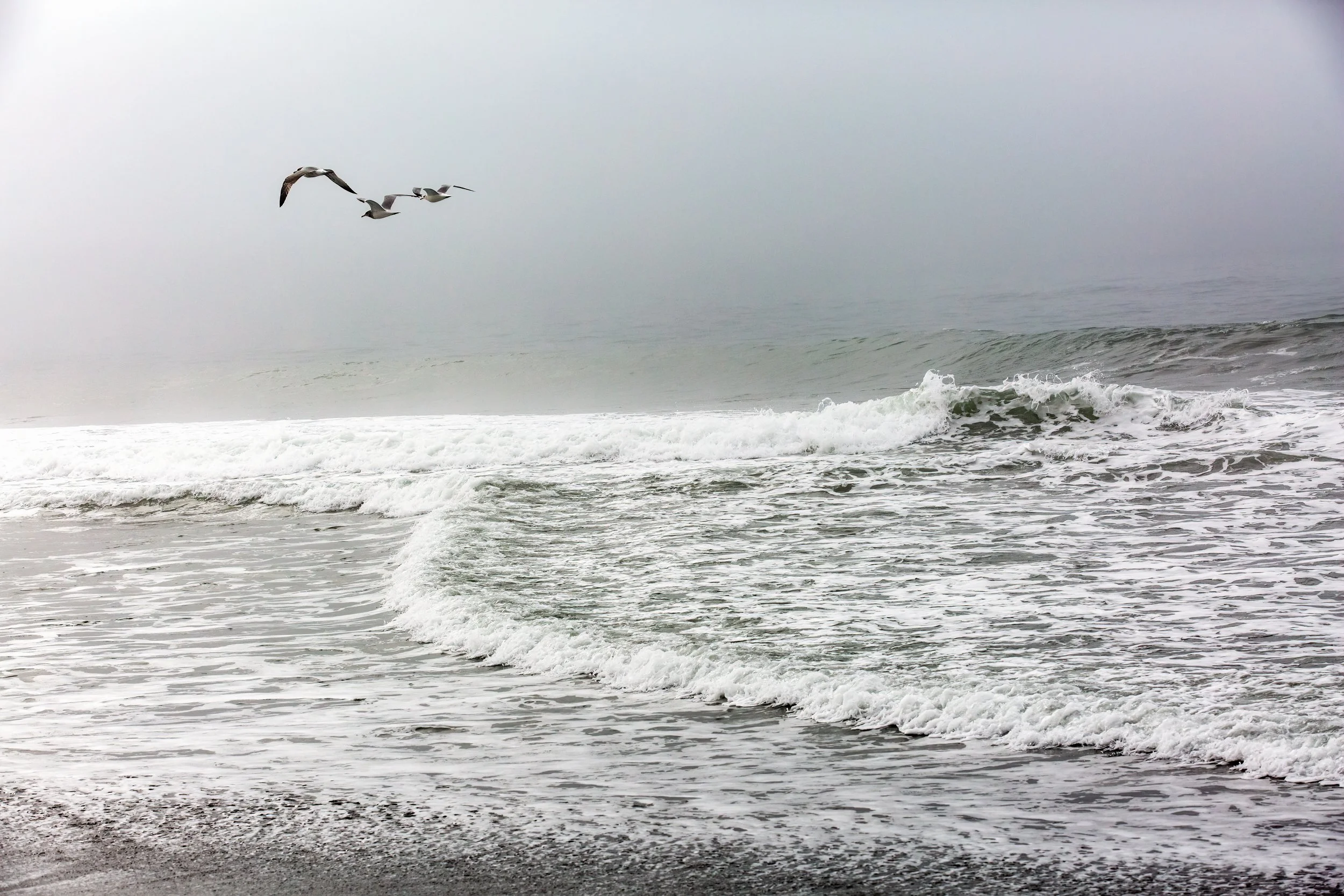 Seagulls flying over the ocean with crashing waves on a cloudy day.
