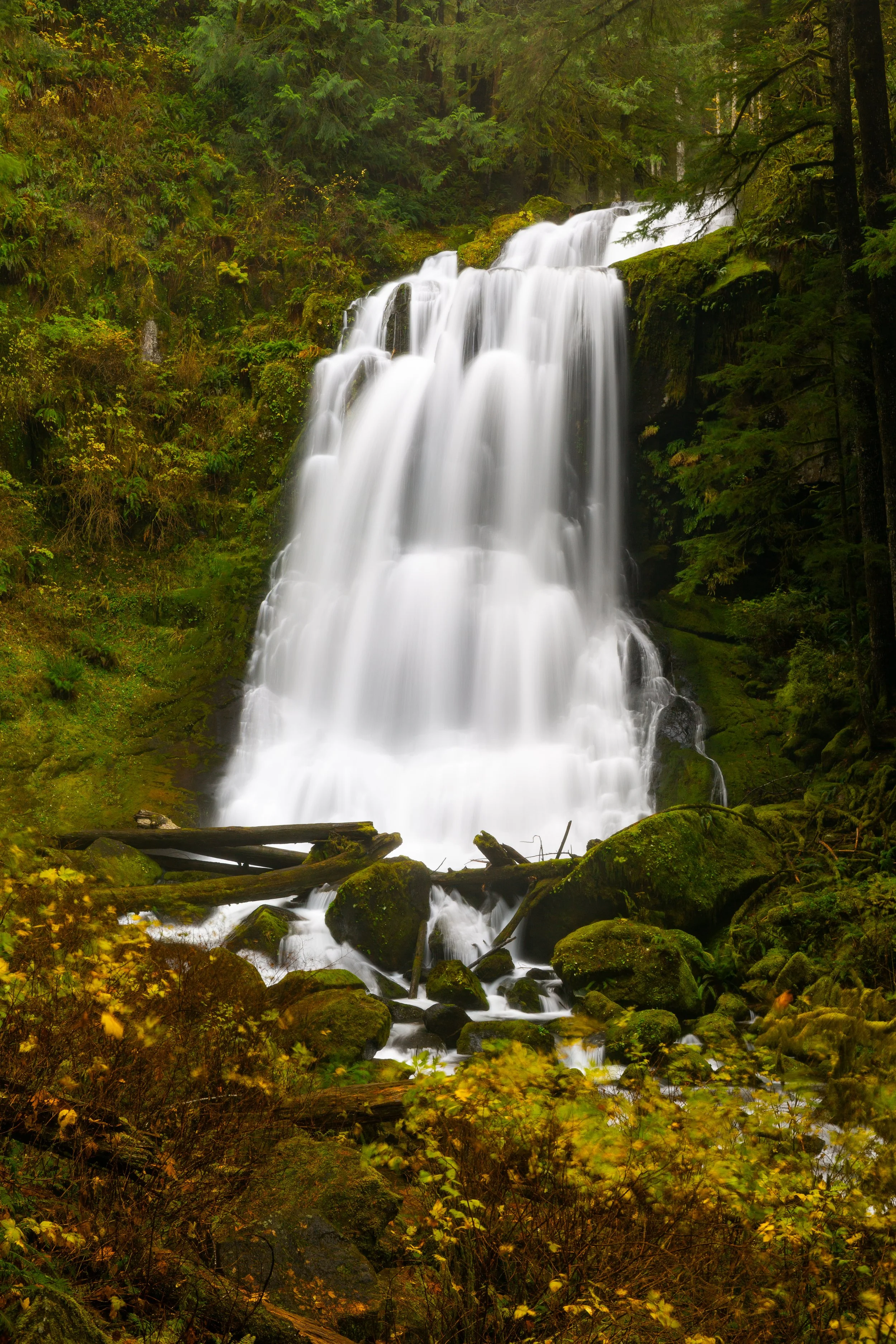 A tall waterfall flowing over moss-covered rocks in a lush green forest.