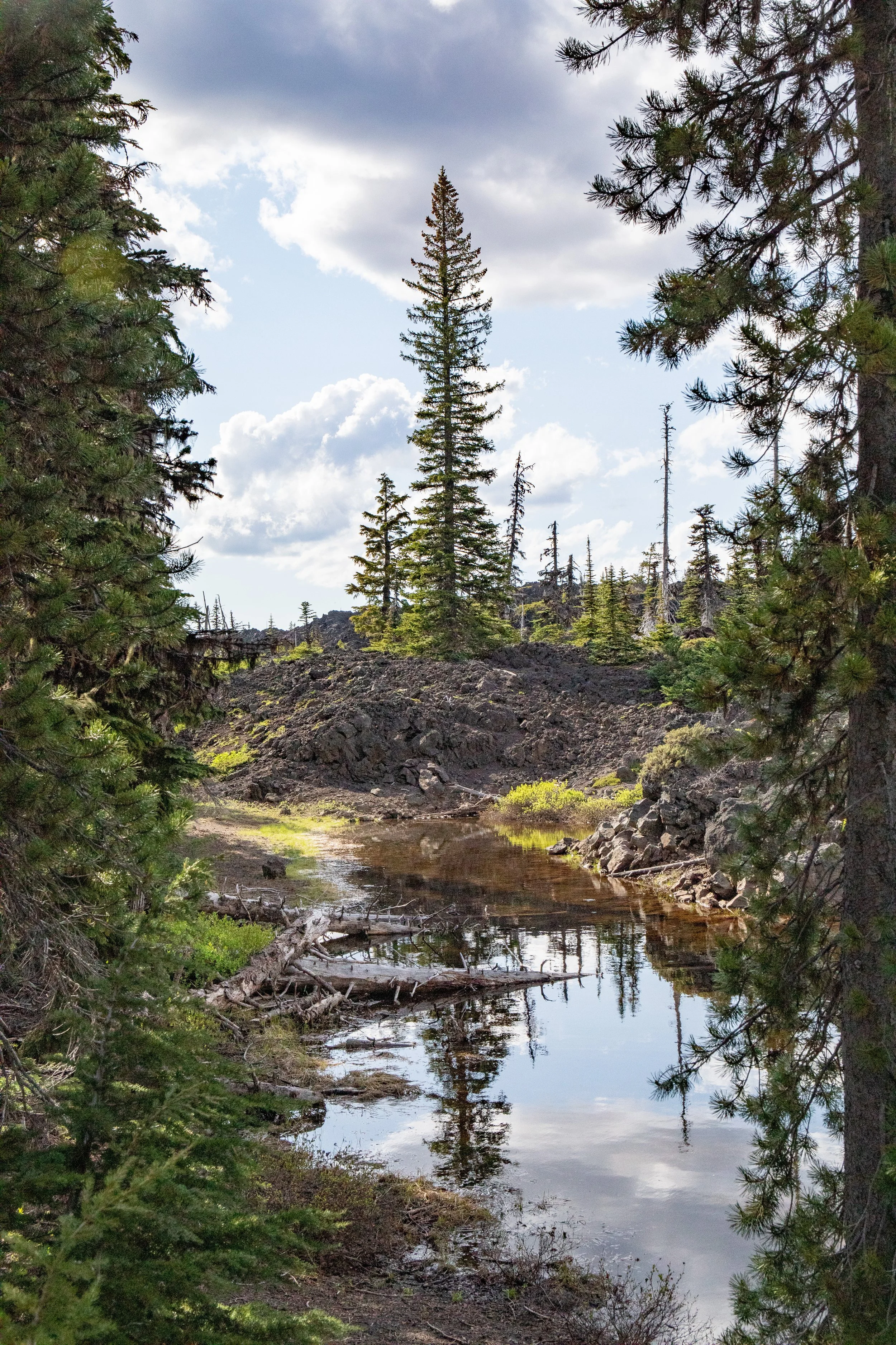 A serene mountain landscape with a narrow stream surrounded by pine trees, rocky terrain, and a partly cloudy sky.