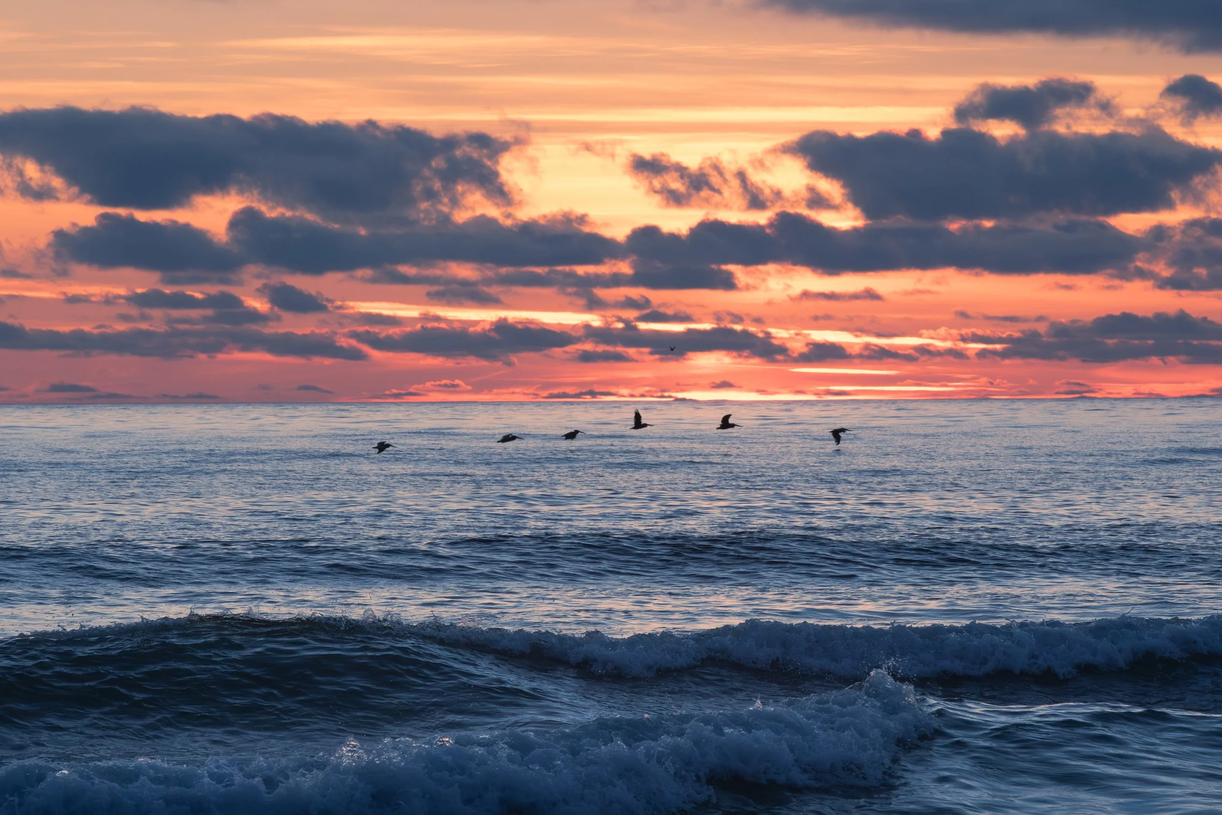 Sunset over the ocean with clouds in the sky and waves in the foreground, seagulls flying above the water.