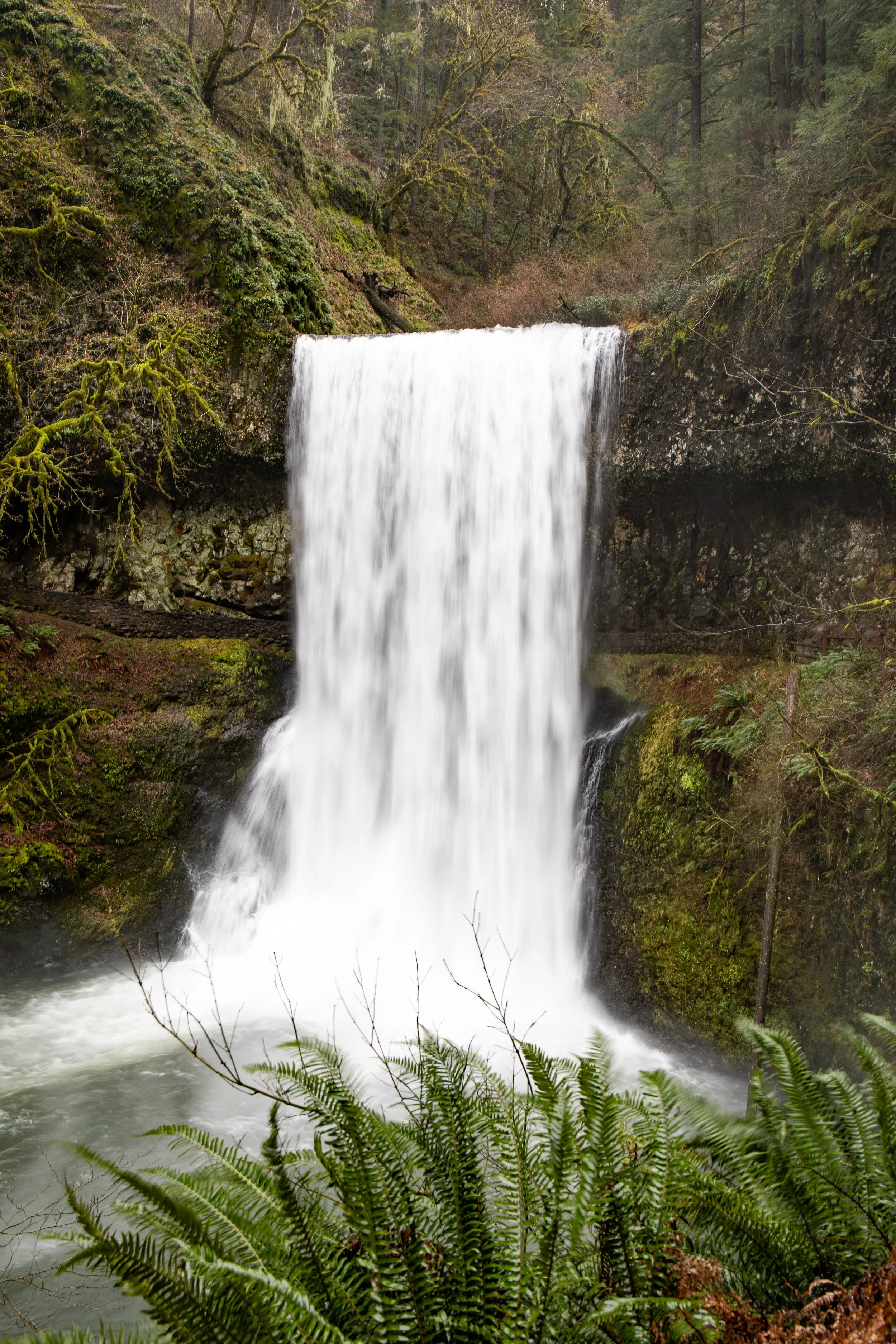 A waterfall flowing over rocks surrounded by moss-covered trees and green foliage in a forest.