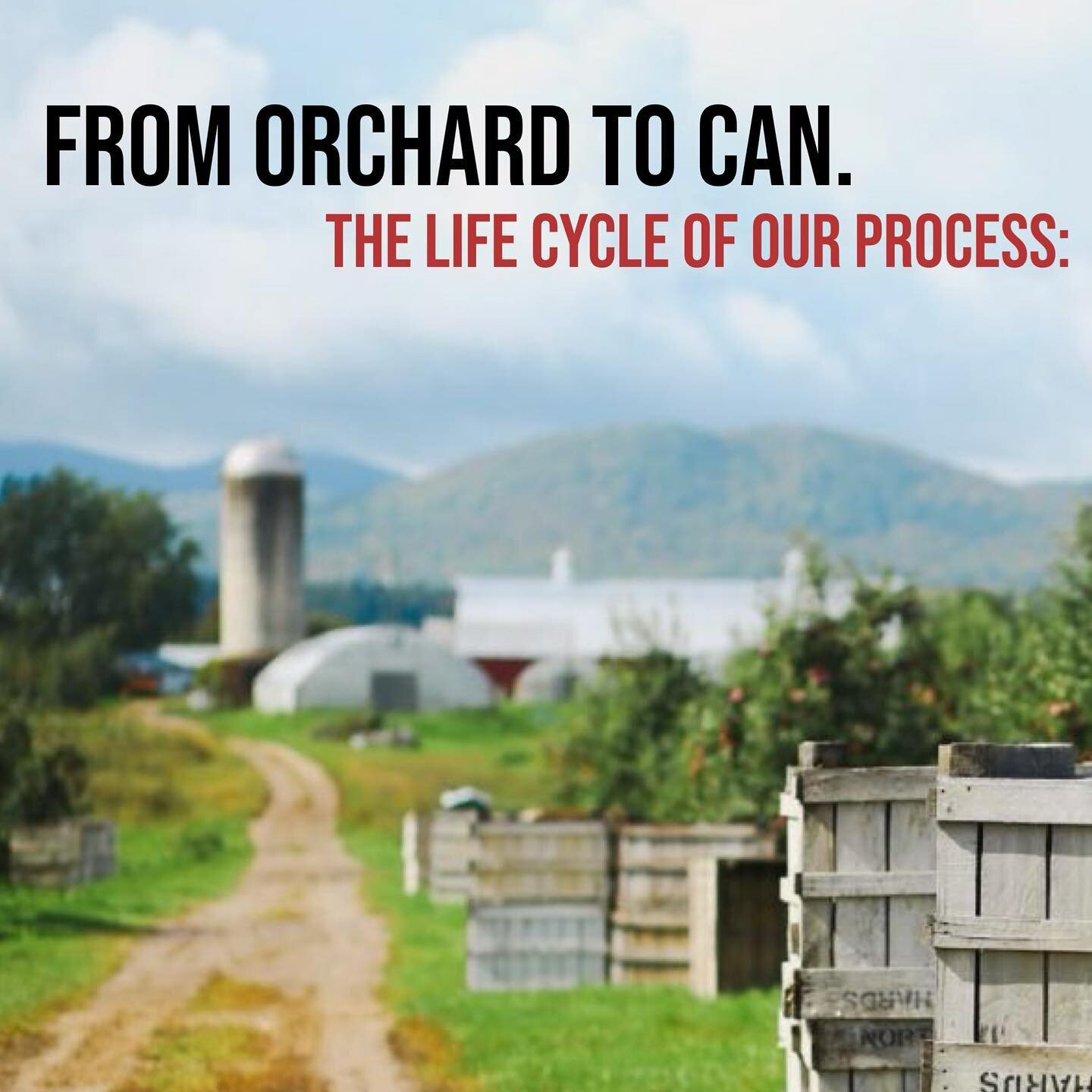 Rooted in community, our cider journey begins in the orchards of Vermont and New York. Hand-in-hand with our dedicated growers, we craft each batch from tree to tank, ensuring sustainability at every sip. Cheers to the life cycle of flavor enjoyed by