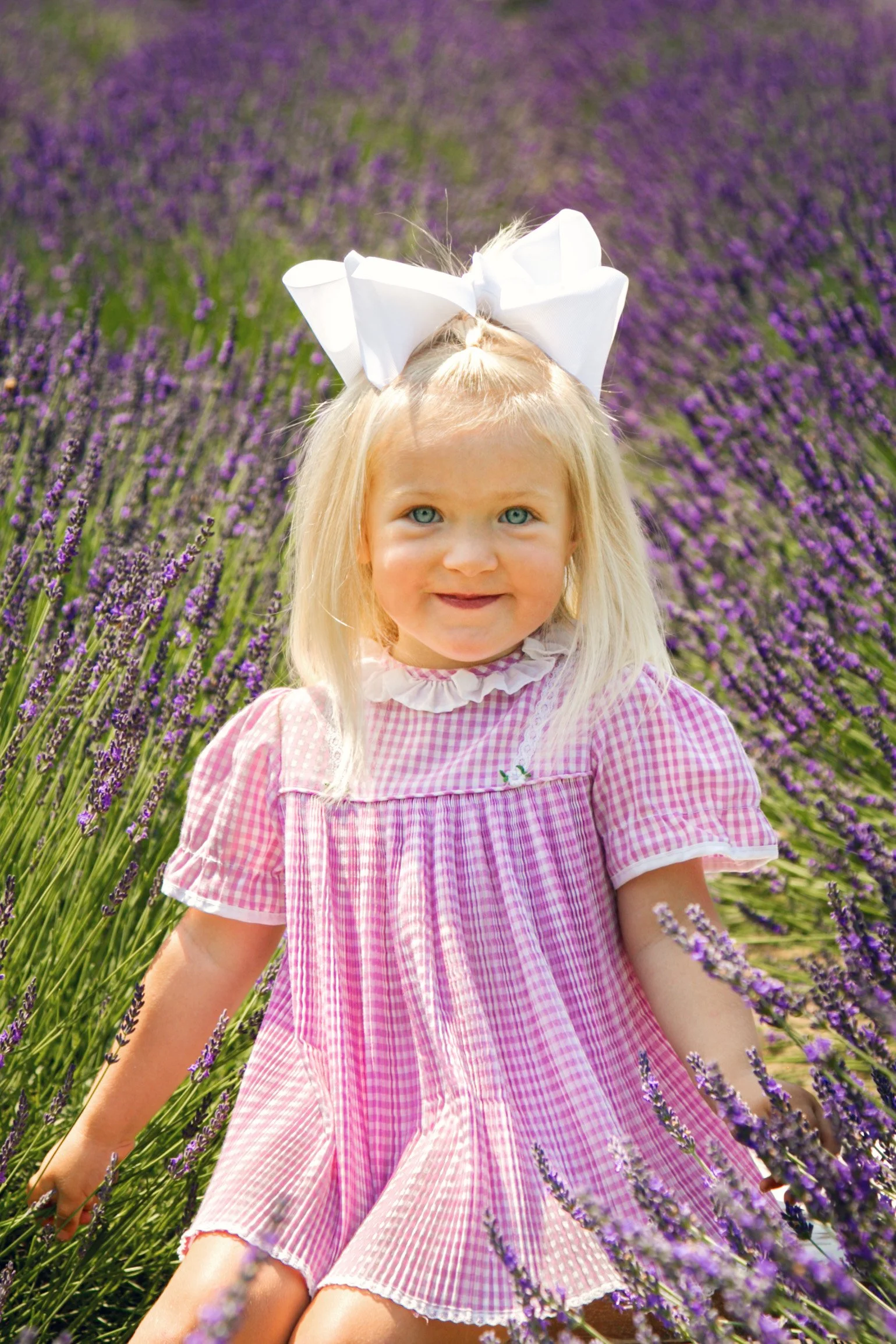 Lavender Field Photos | Mini Photography Session Traverse City Michigan