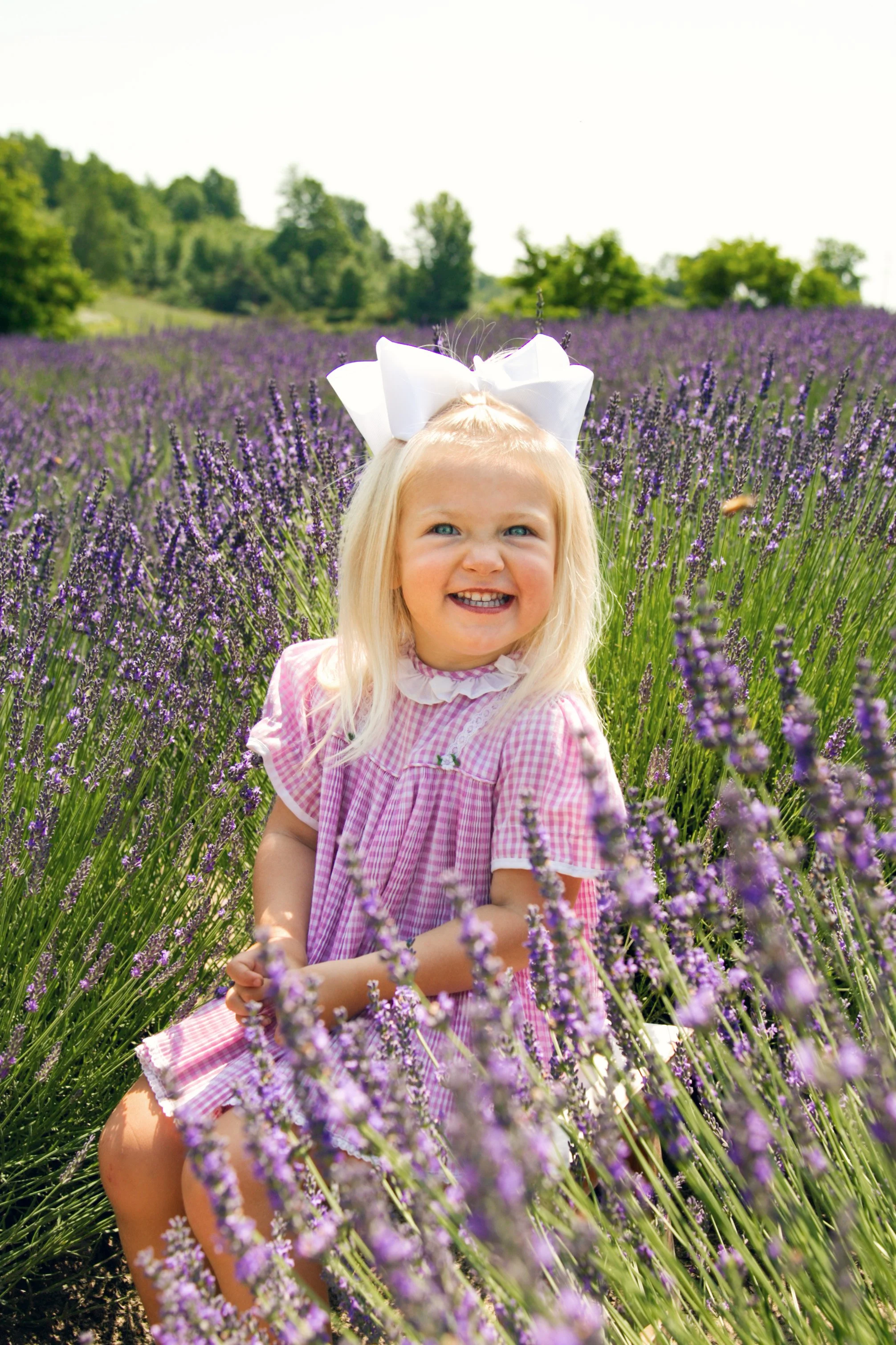 Lavender Field Photos | Mini Photography Session Traverse City Michigan