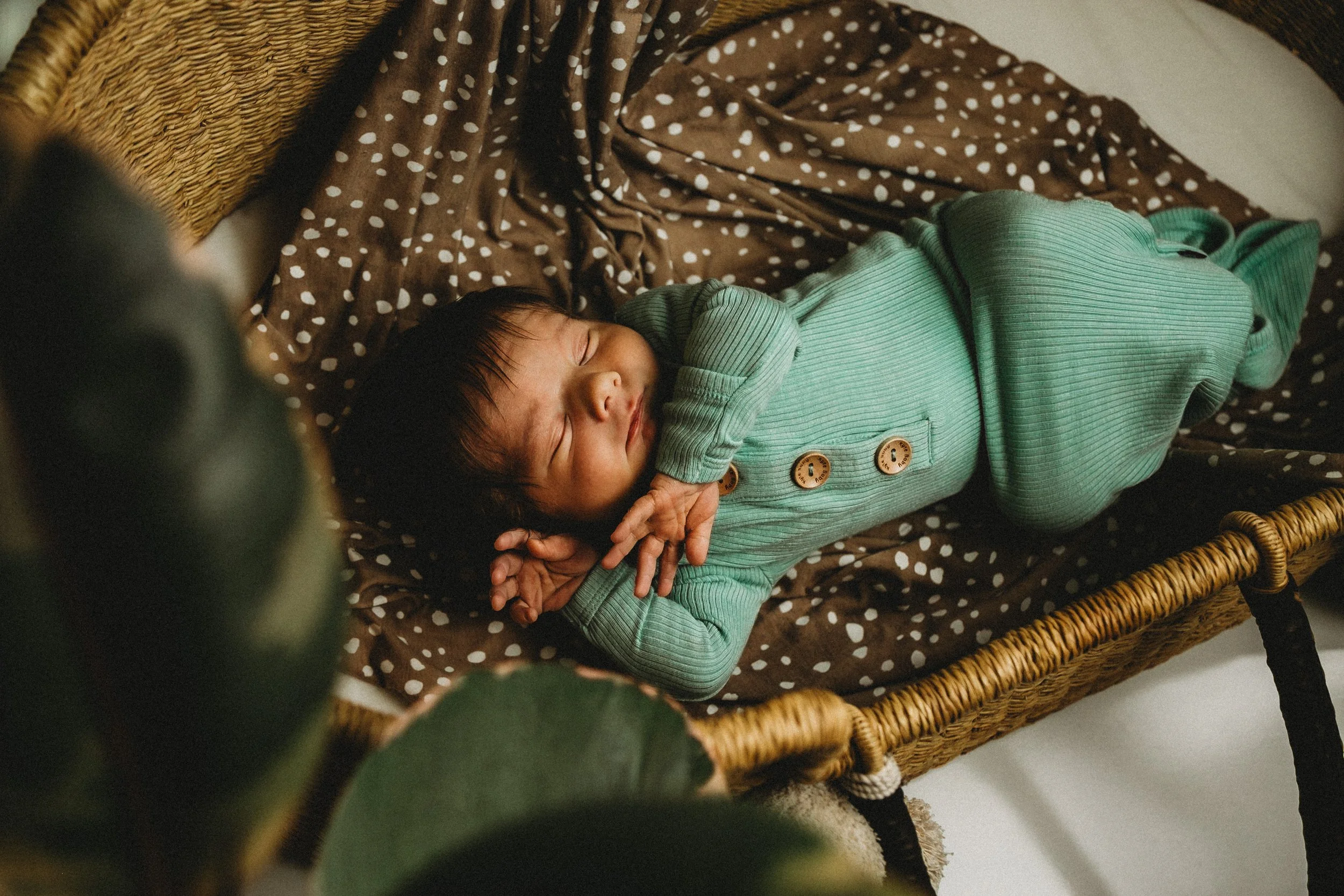Traverse City Area Lifestyle Newborn Photographer