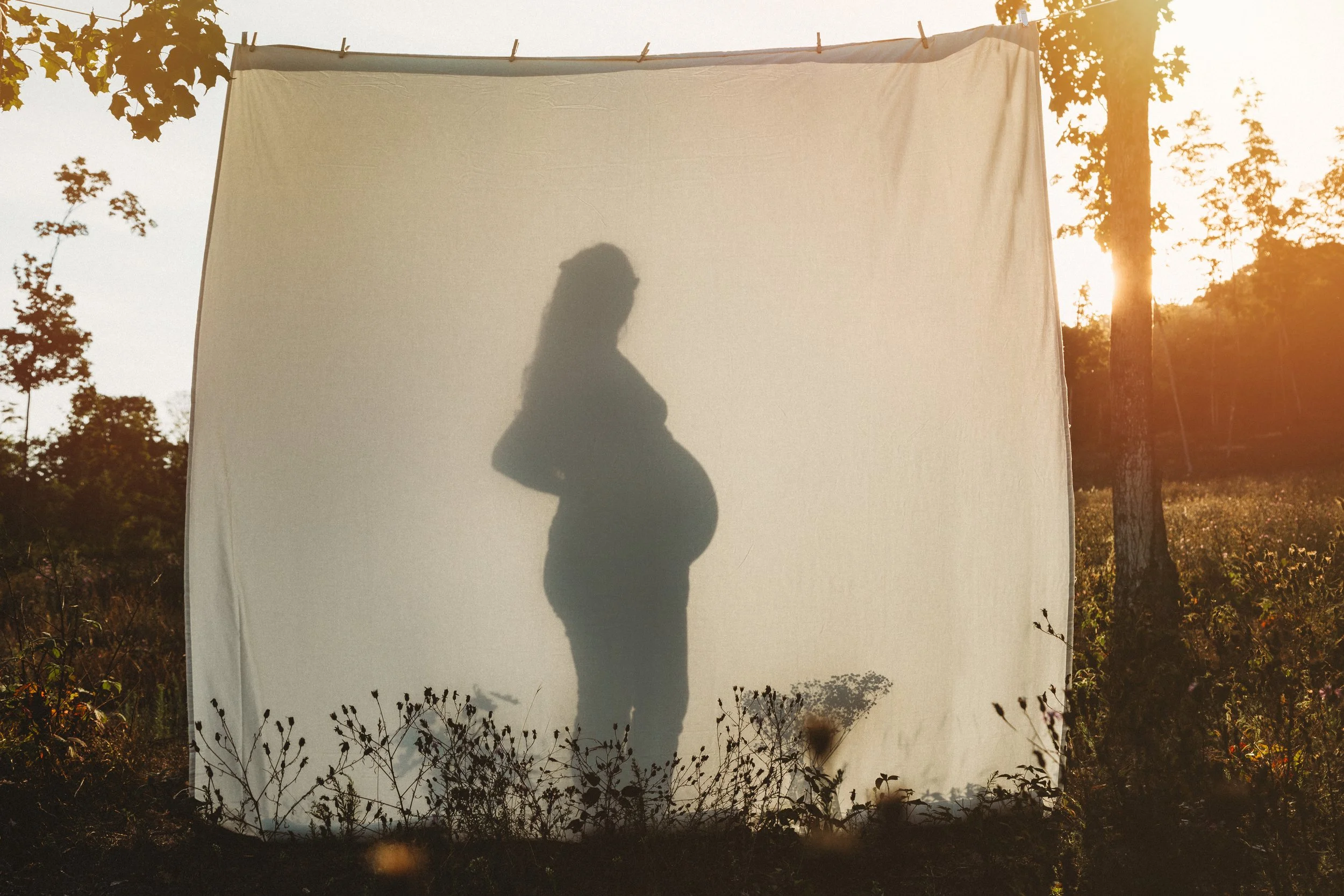 Northern Michigan Maternity Photographer
