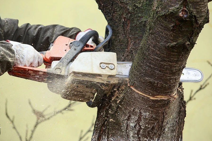 bigstock-Chainsaw-In-A-Hand-Of-The-Lumb-340174234.jpg