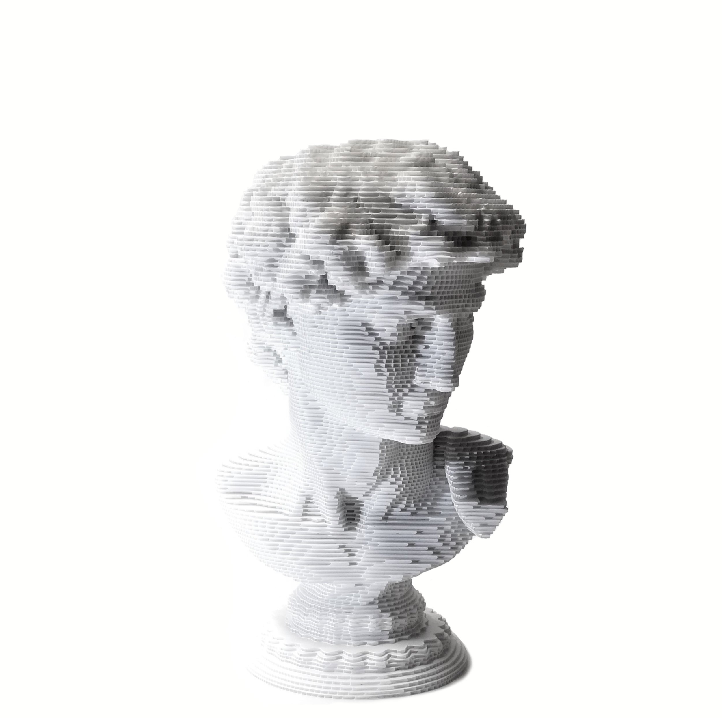 David3 final.jpg
