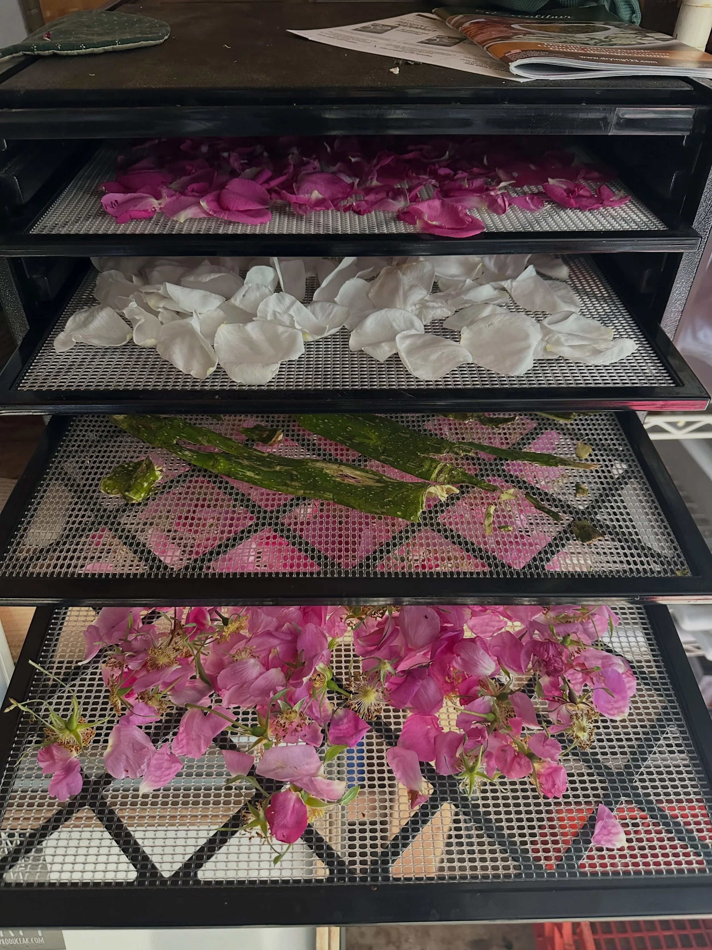 We&rsquo;re concocting some new things this summer! Stay tuned for info about our first day of market soon! 🌸