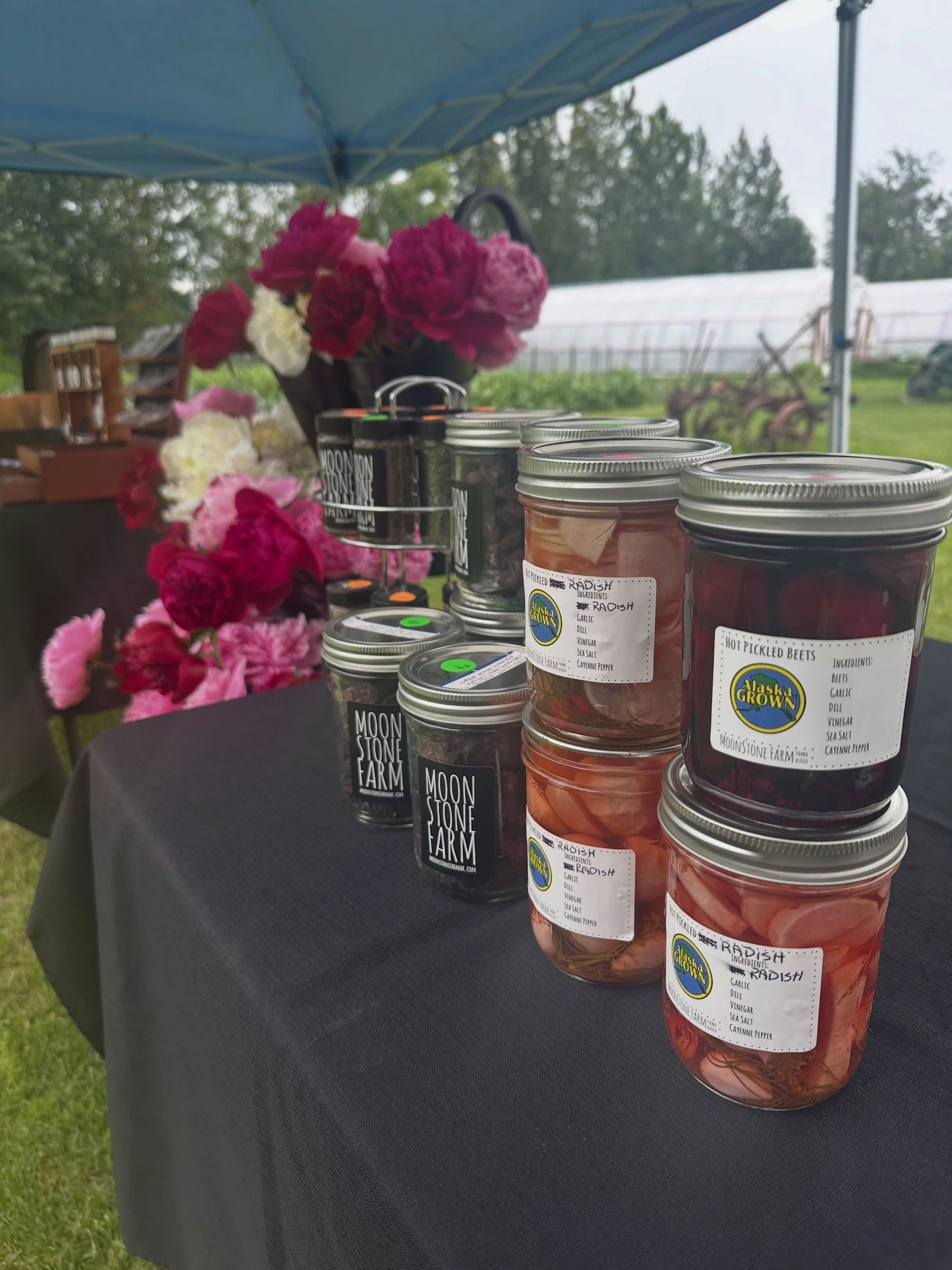Happy market day at Moonstone Farm! Our market from 2-6 today has zucchini, rhubarb, and lots of clean, pesticide- and insecticide-free greens including lettuce, kale, chard, arugula, Asian greens (tatsoi), collards, and bok choi. Fresh herbs include