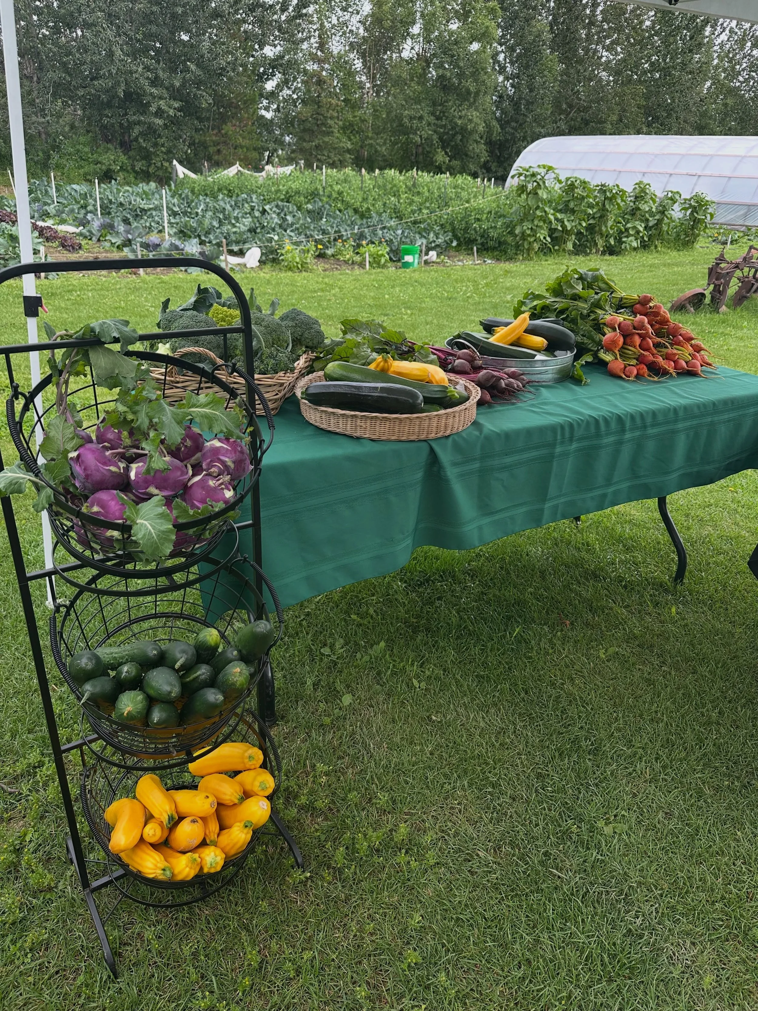 It&rsquo;s an abundant August! New today at Moonstone Farmms Thursday market from 2-6, we have sugar snap peas, raspberries, and banana bread. Serendipity Baker AK has sweet berries and cream cheese kolaches and sausage and cheddar kolaches. We&rsquo