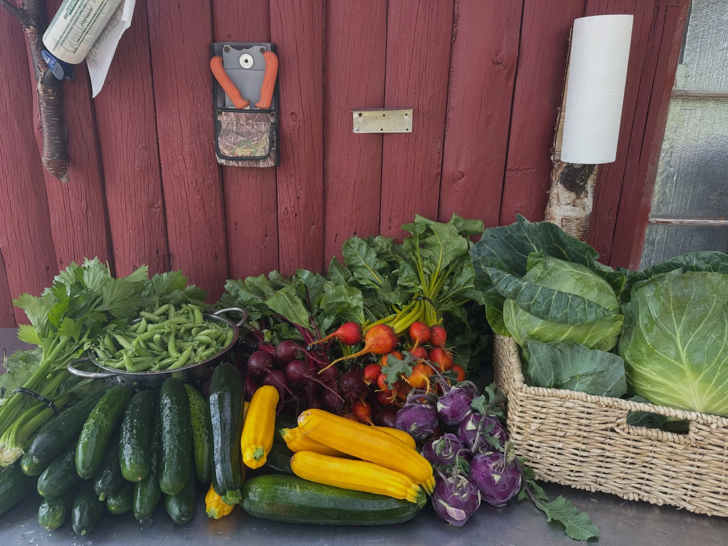 It&rsquo;s market day at Moonstone Farm!  Our market is open 2-6 today. 

New this week, we have sugar snap peas, romanesco, and raspberries. We are also starting to sell our dormant &ldquo;marshmallow&rdquo; peonies - just stick them in a vase of wa