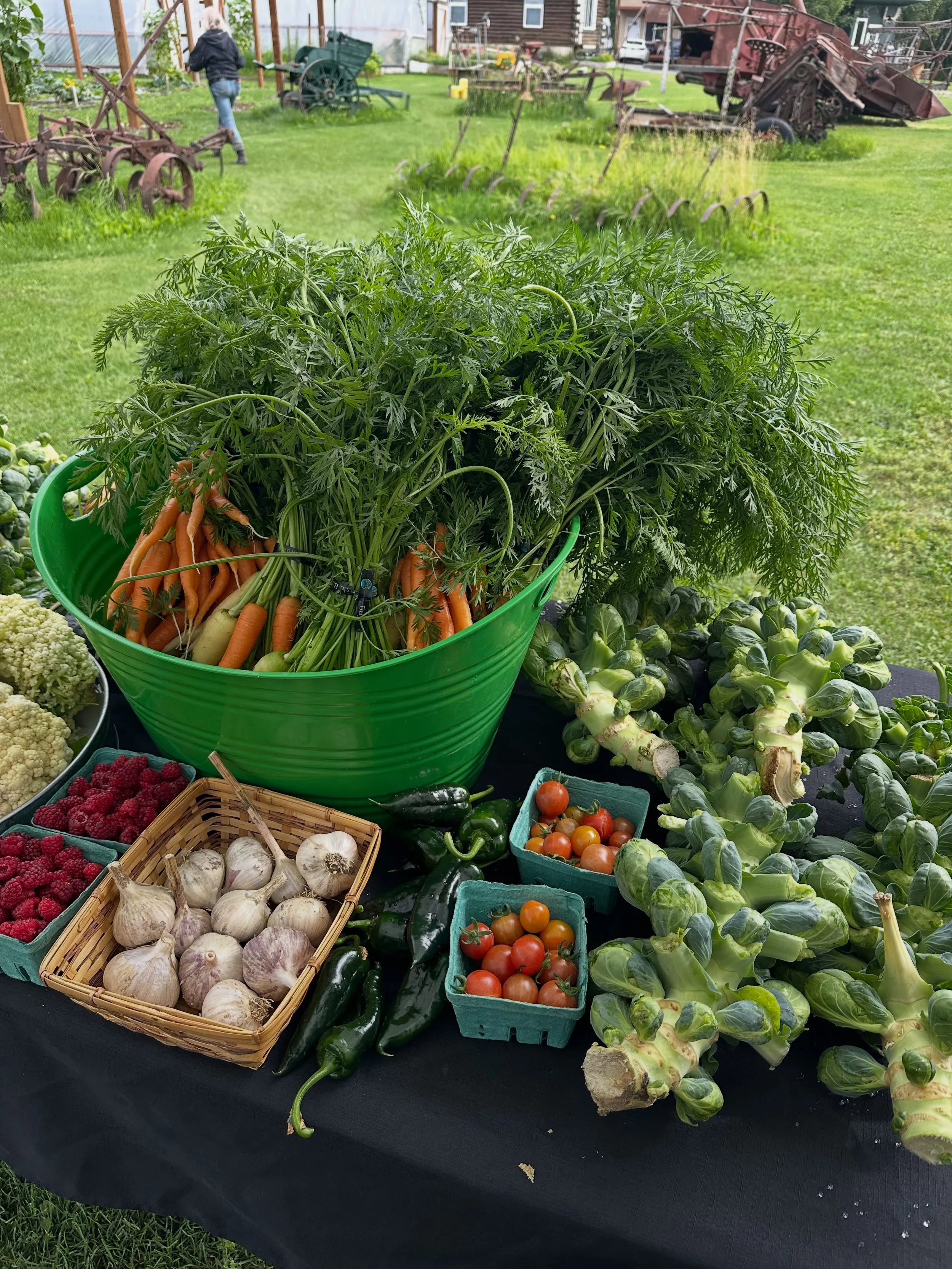 🫛🫛🫛 It&rsquo;s market day at Moonstone Farm and we have spicy pickled peas! Our market is open 2-6 today, and the Railcar Tasting Room is open 2-8. 🫛🫛🫛

🆕
New this week, we have SPICY PICKLED PEAS (!), brussel sprouts, pumpkins, tomatoes, fenn