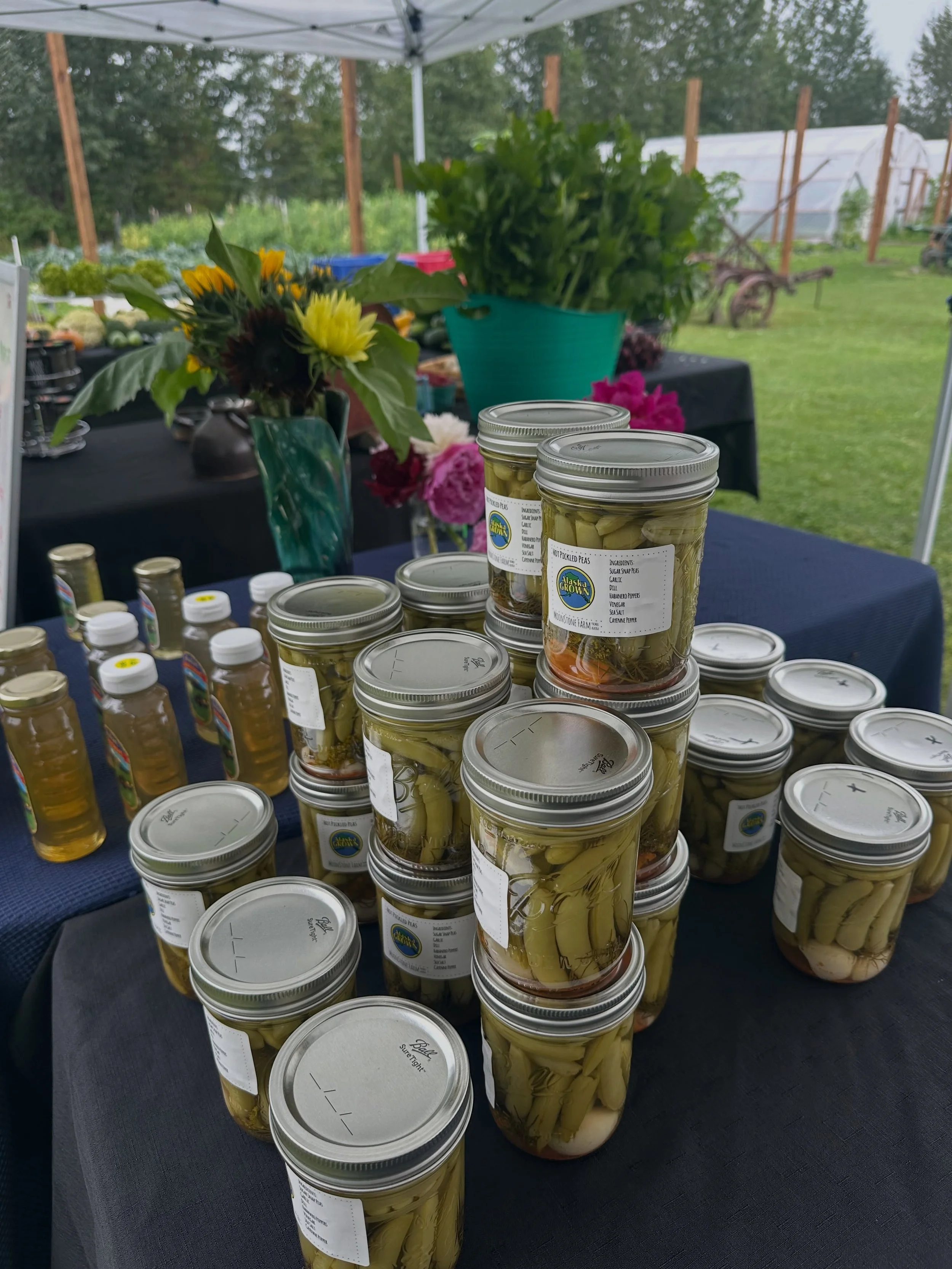 Don&rsquo;t go to the fair in the rain - yuck! Come to Moonstone instead! It&rsquo;s market day at Moonstone Farm and we have spicy pickled peas! Our market is open 2-6 today, and the Railcar Tasting Room is open 2-8. The cranes are probably flying s