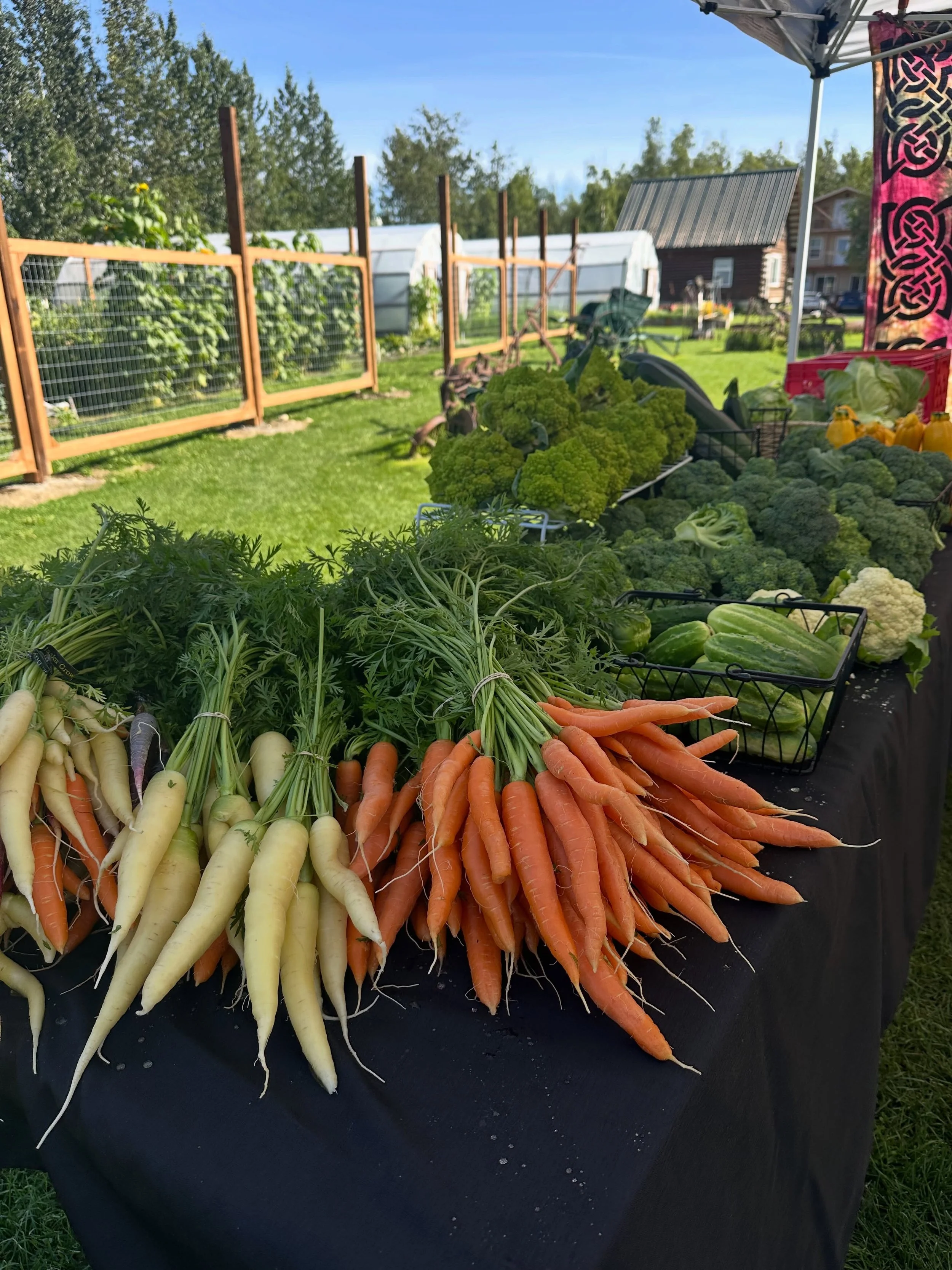 What a gorgeous market day at Moonstone Farm! Our market is open 2-6 today, and the Railcar Tasting Room is open 2-8. The cranes are still here, the sun is shining, and the produce is abundant - come say hi!

🆕
New this week, we have spicy pickled k