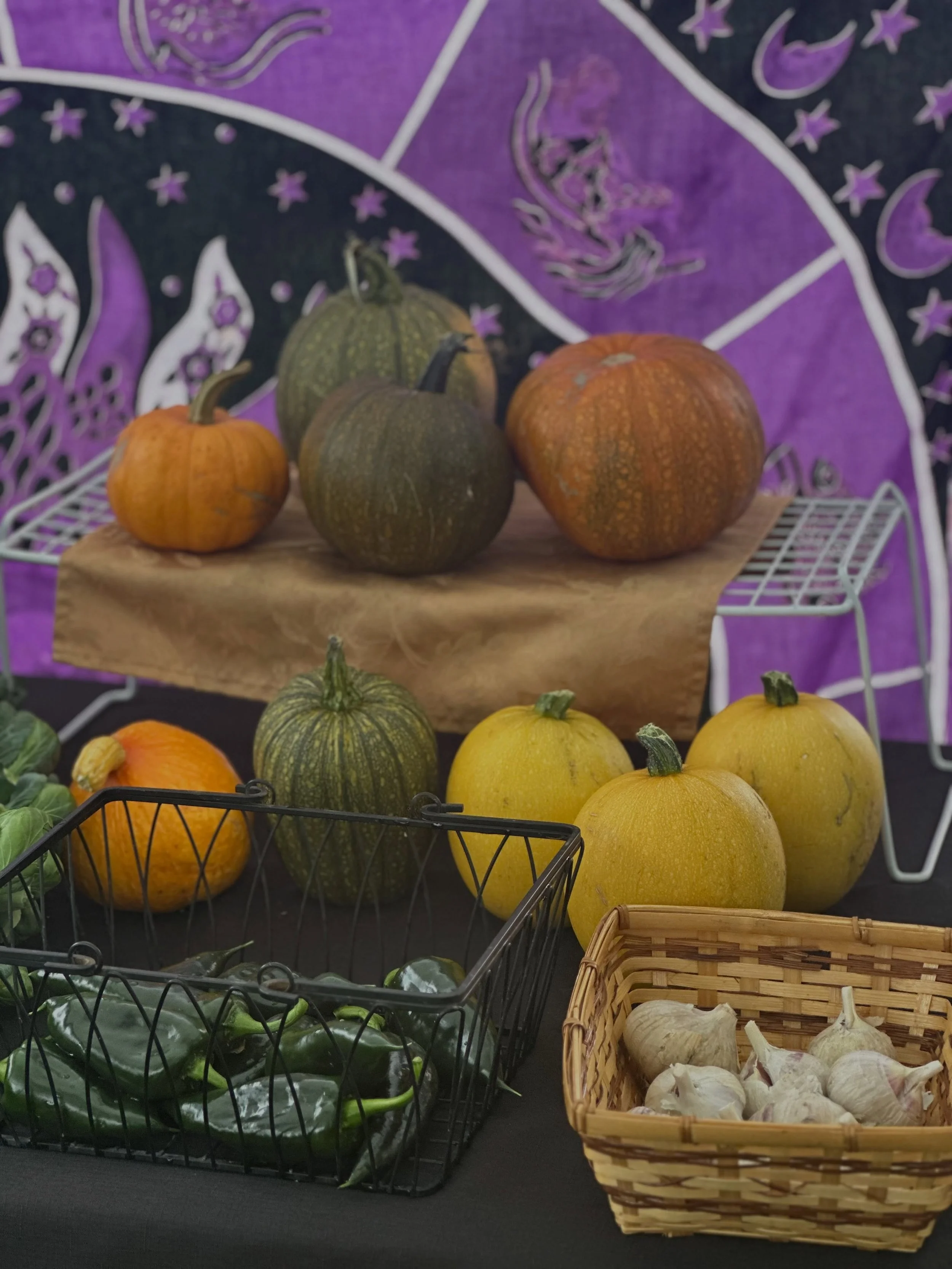 It&rsquo;s another gorgeous day at Moonstone Farm. Our market is open 2-6 today, and the Railcar Tasting Room is open 2-8. The cranes are still hanging out. Market is winding down but we still have lots of autumnal harvest for ya. 

🆕
New this week,