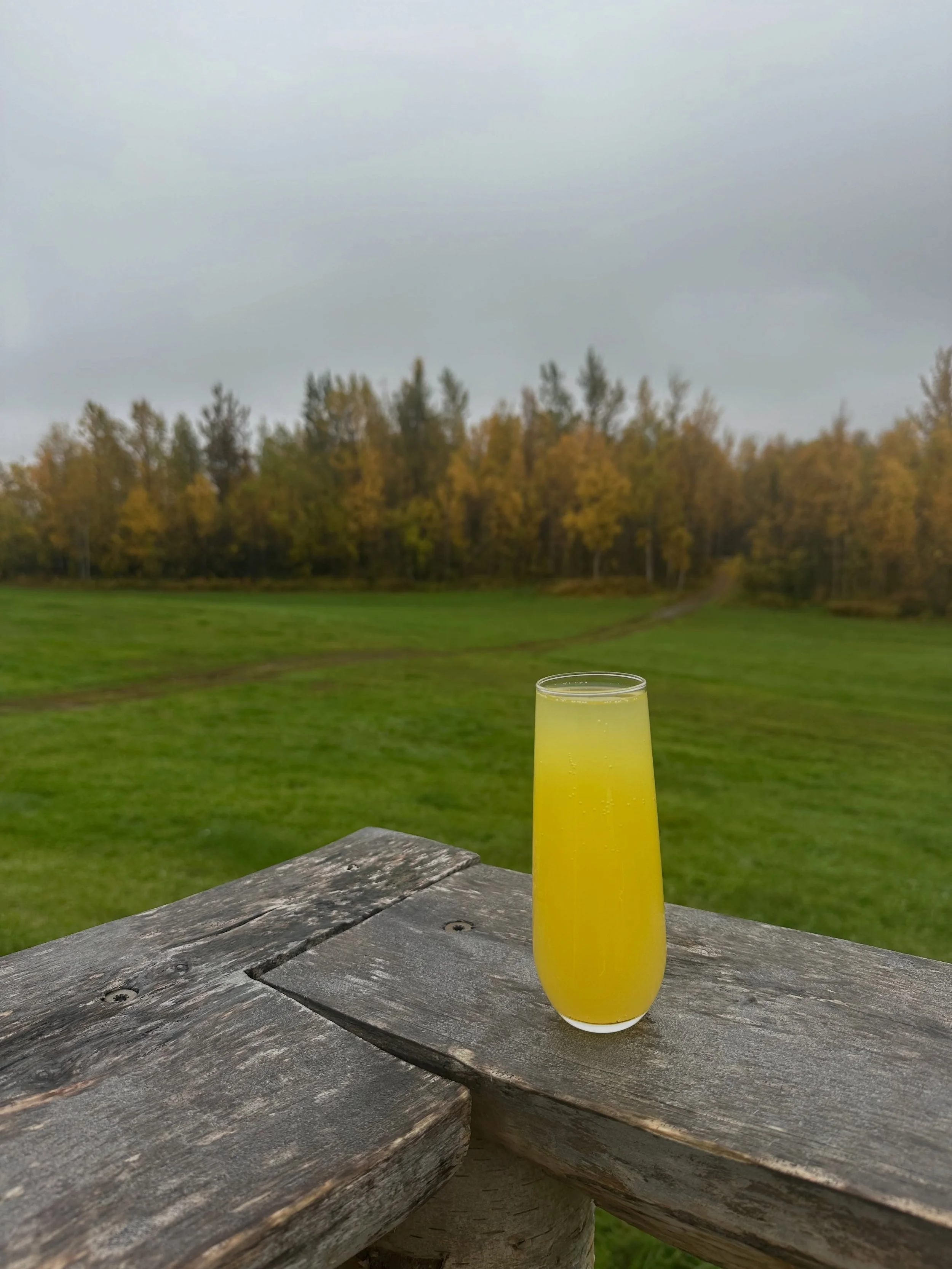 The fall leaves are popping off at Moonstone Farm and it&rsquo;s the perfect day for a drink by the cozy heaters at The Railcar. Our tasting room is open 2-8 today. We won&rsquo;t have a pop-up farm stand or food truck today, but if you swing by and 