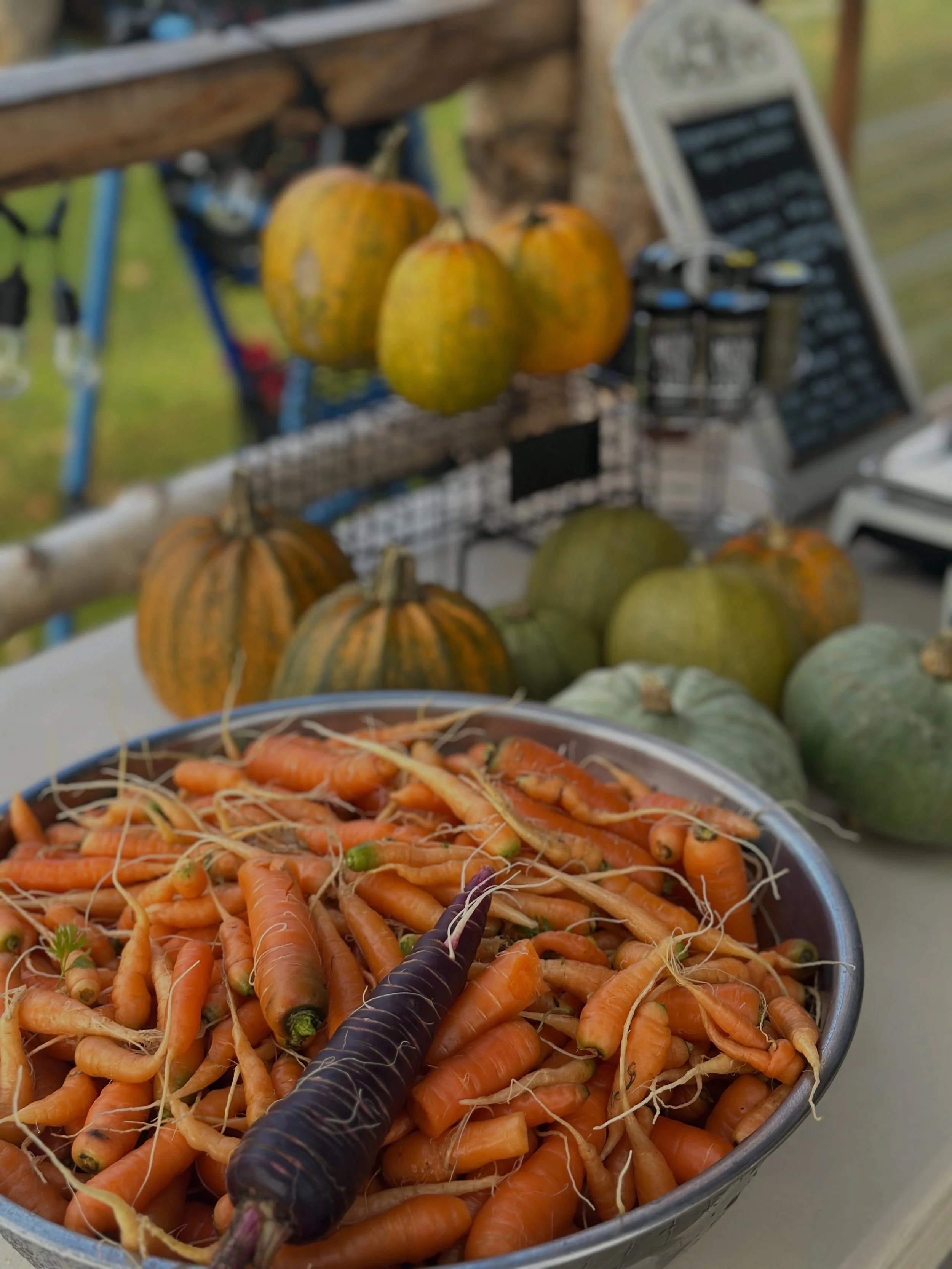 It&rsquo;s a beautiful day for a pop up! And for fancy wine!

We&rsquo;ve got some produce for sale at The Railcar today: carrots, beets, potatoes, pumpkins, spaghetti &ldquo;spumpkins,&rdquo; celery, dried herbs, dried cayenne, fire cider, no dark d
