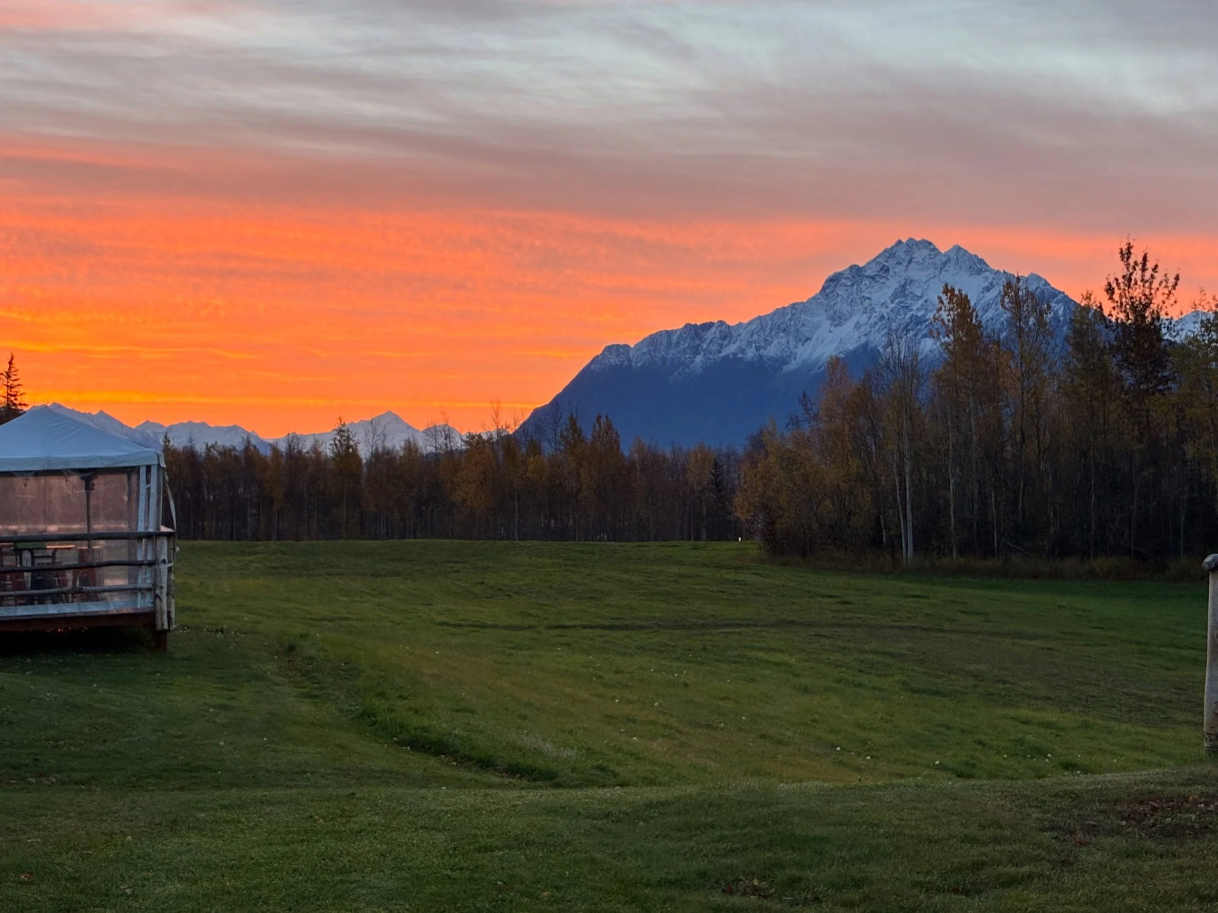 Today might very well be the last day of the season for The Railcar at Moonstone Farm! Cold weather is moving in and we don&rsquo;t know if we&rsquo;ll open next week, so be sure to swing on my today to help us finish off our kegs and bottles of wine